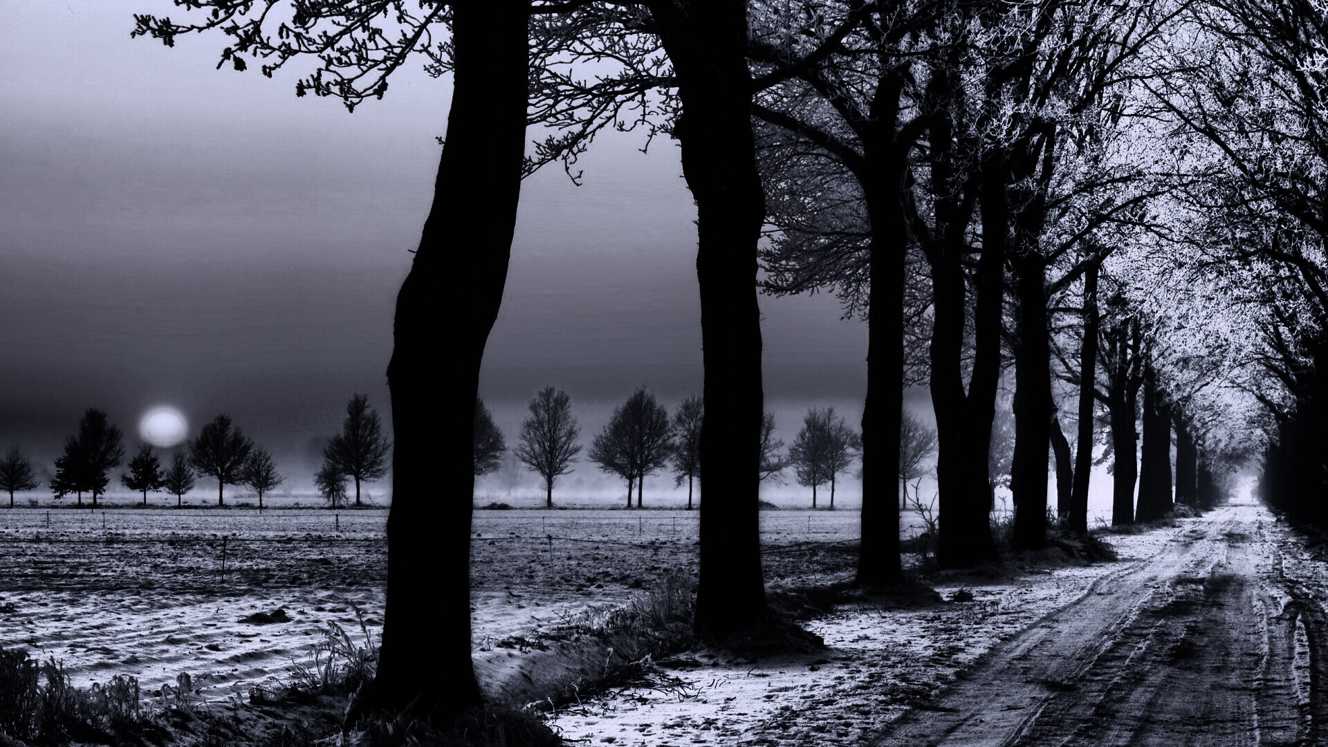 Морозное утро обои