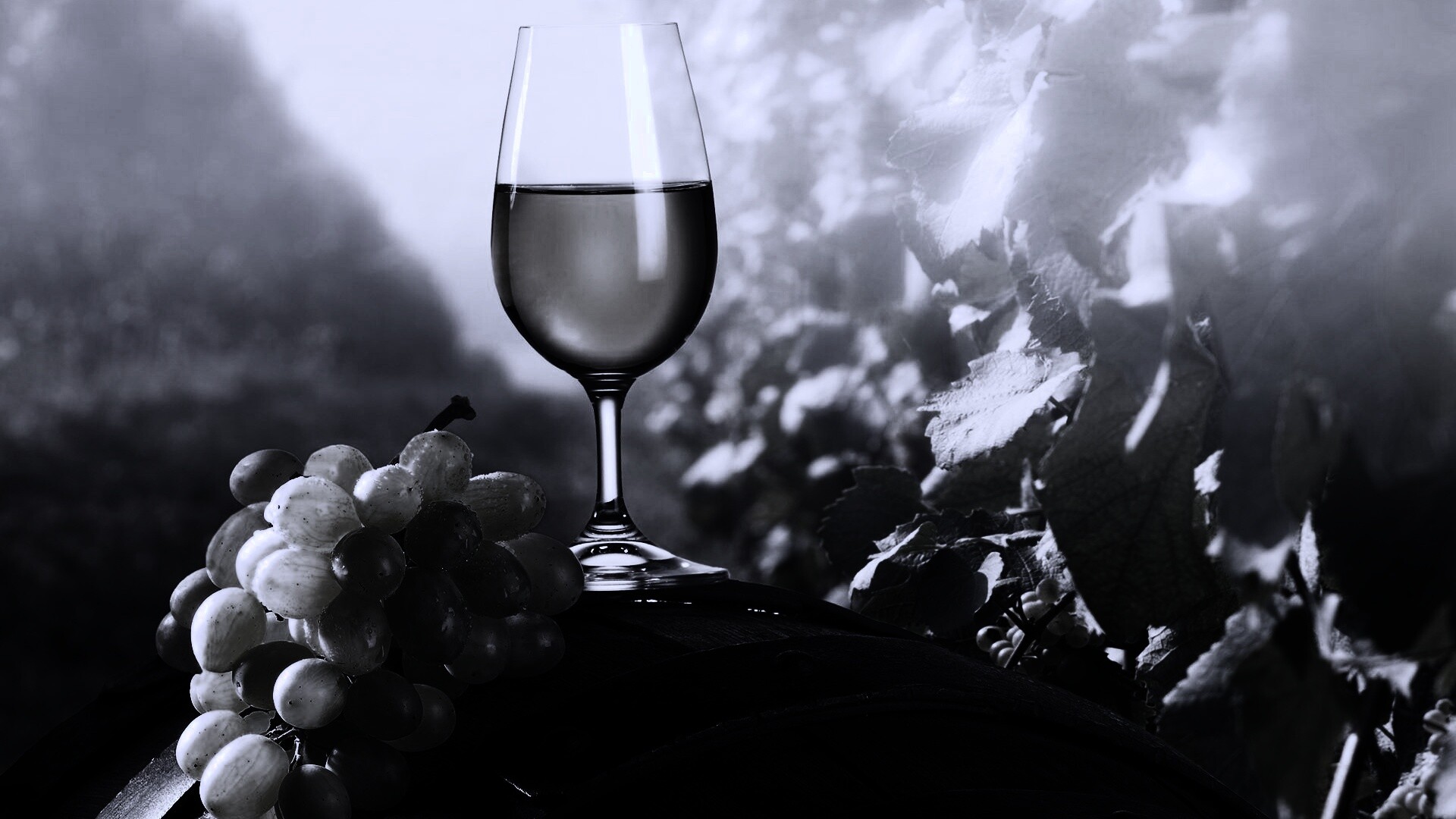 Винная бочка и бокал с белым вином обои