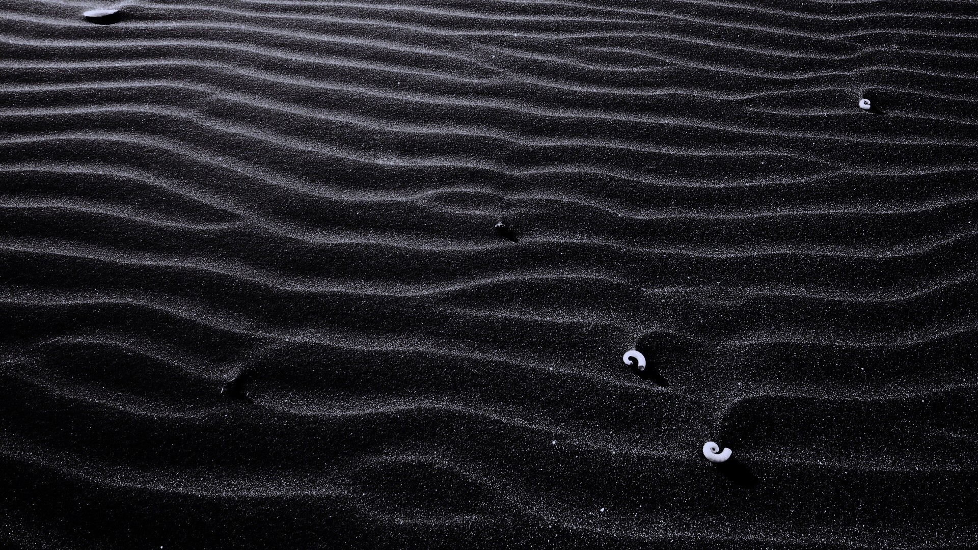 Песок и раковины обои