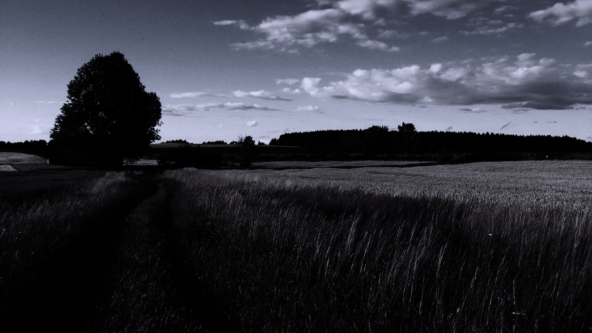 Колея в поле обои