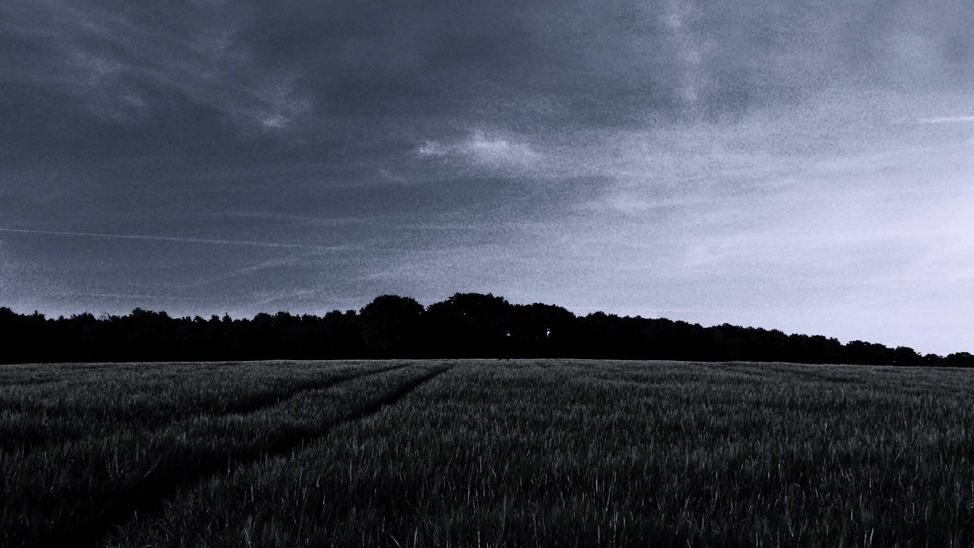 Следы колеи в поле обои