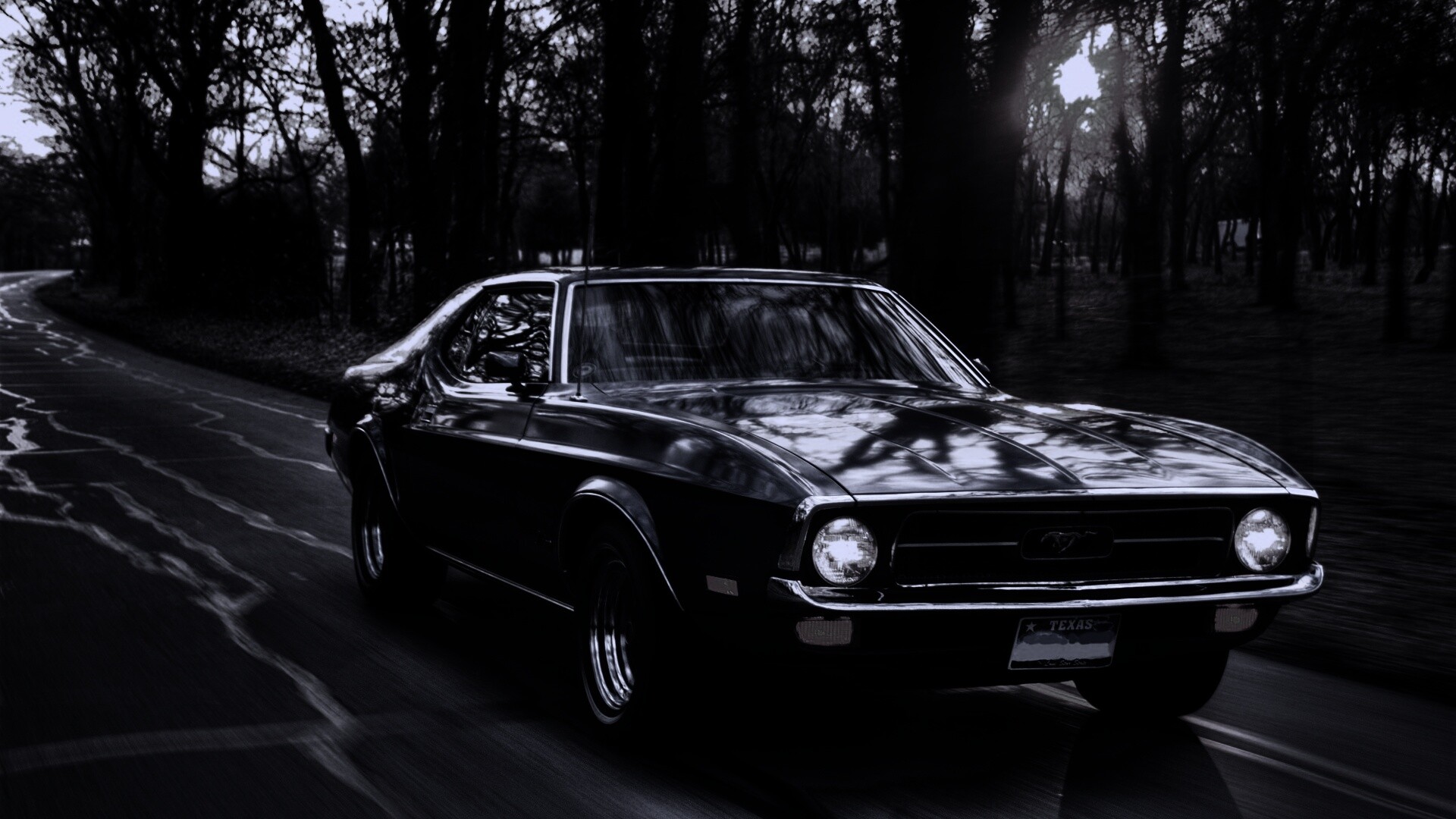 Мустанг обои