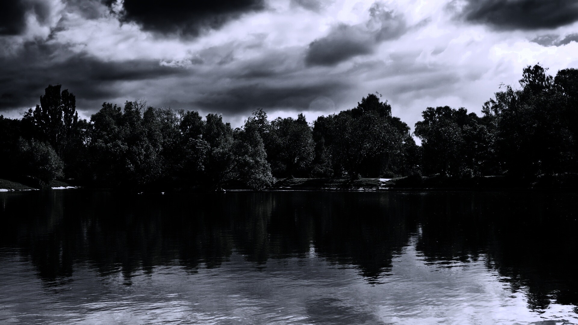 Деревья на берегу озера обои