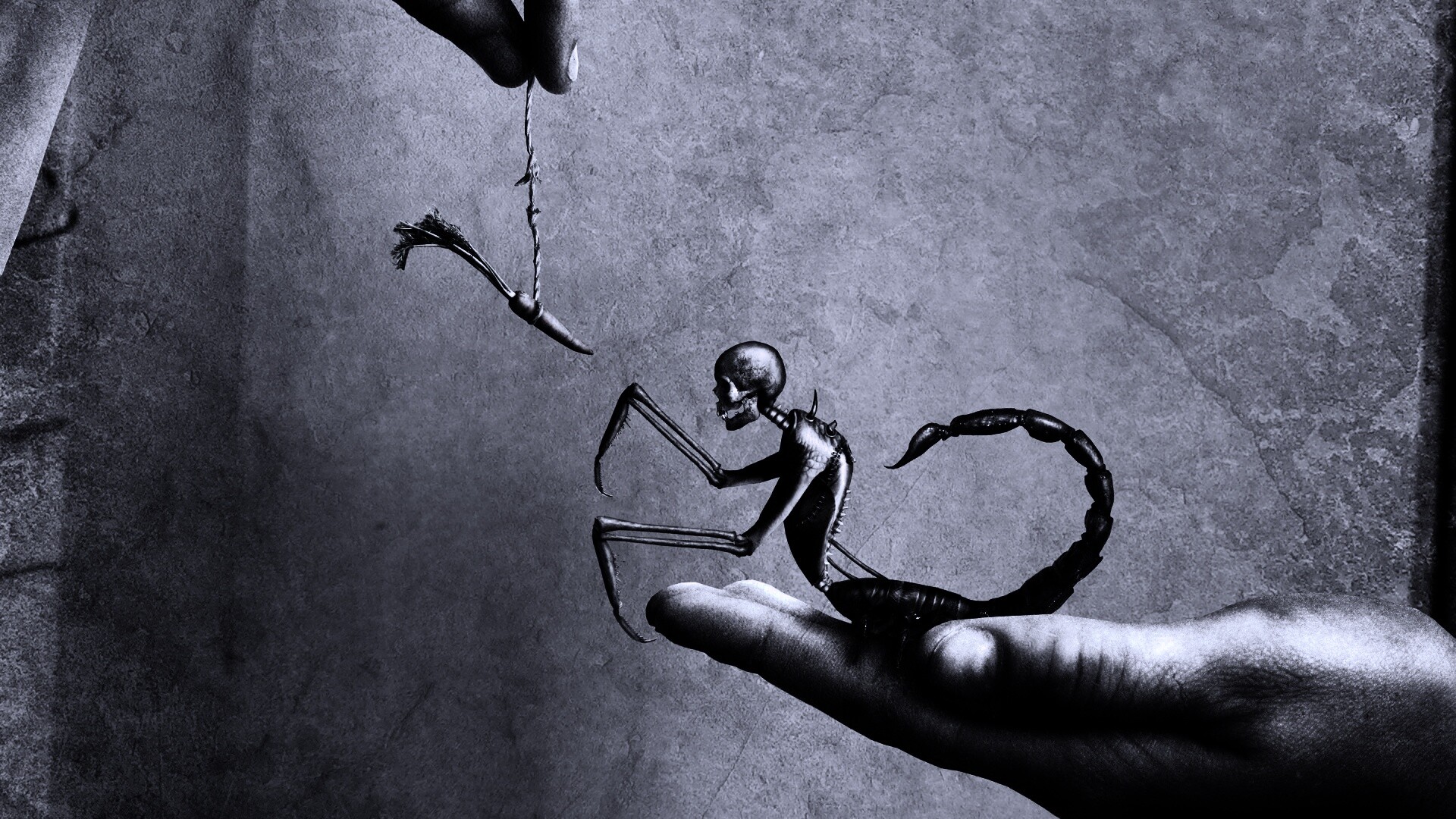 Кормёжка смерти обои