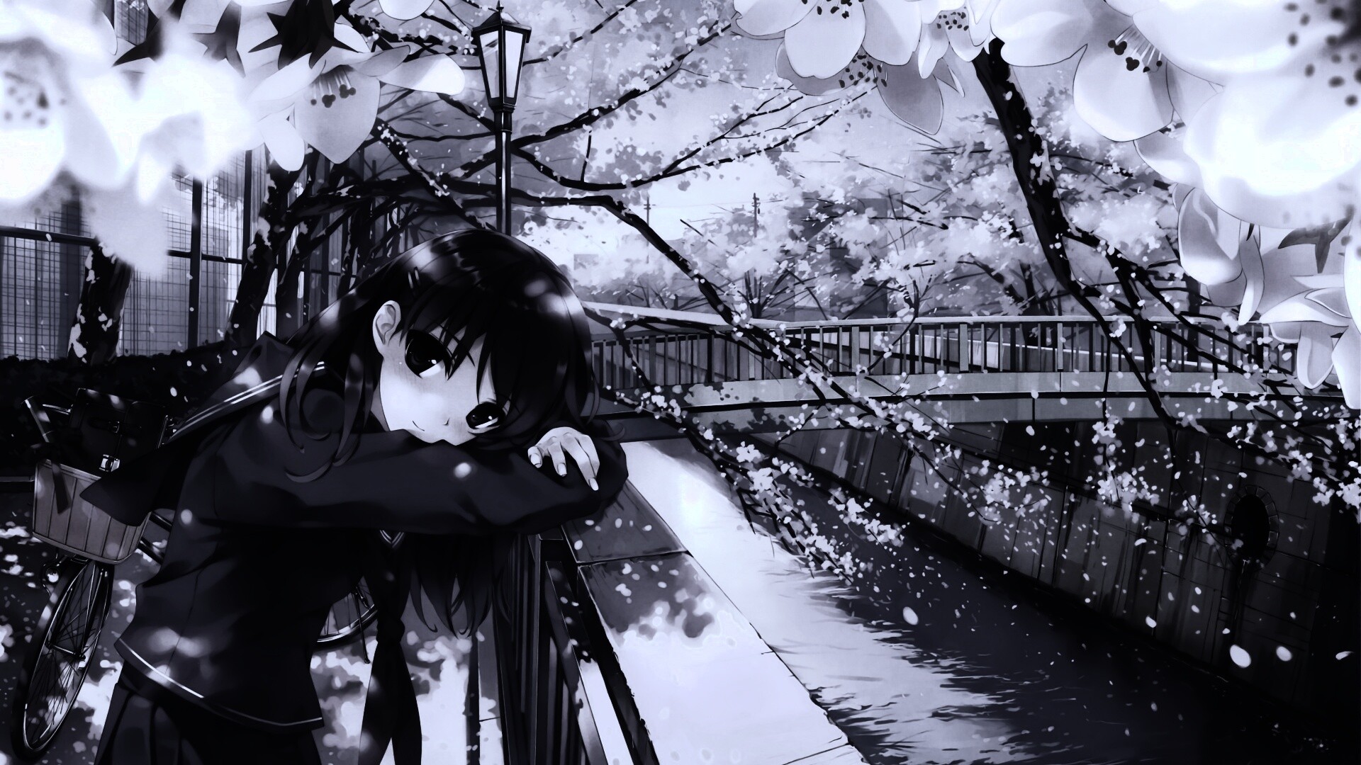 Девушка среди лепестков сакуры обои