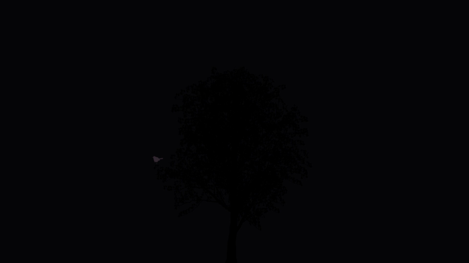 Дерево и птица обои