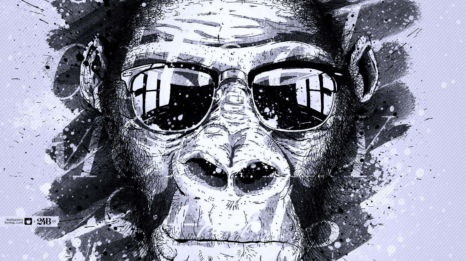 Макака в очках обои