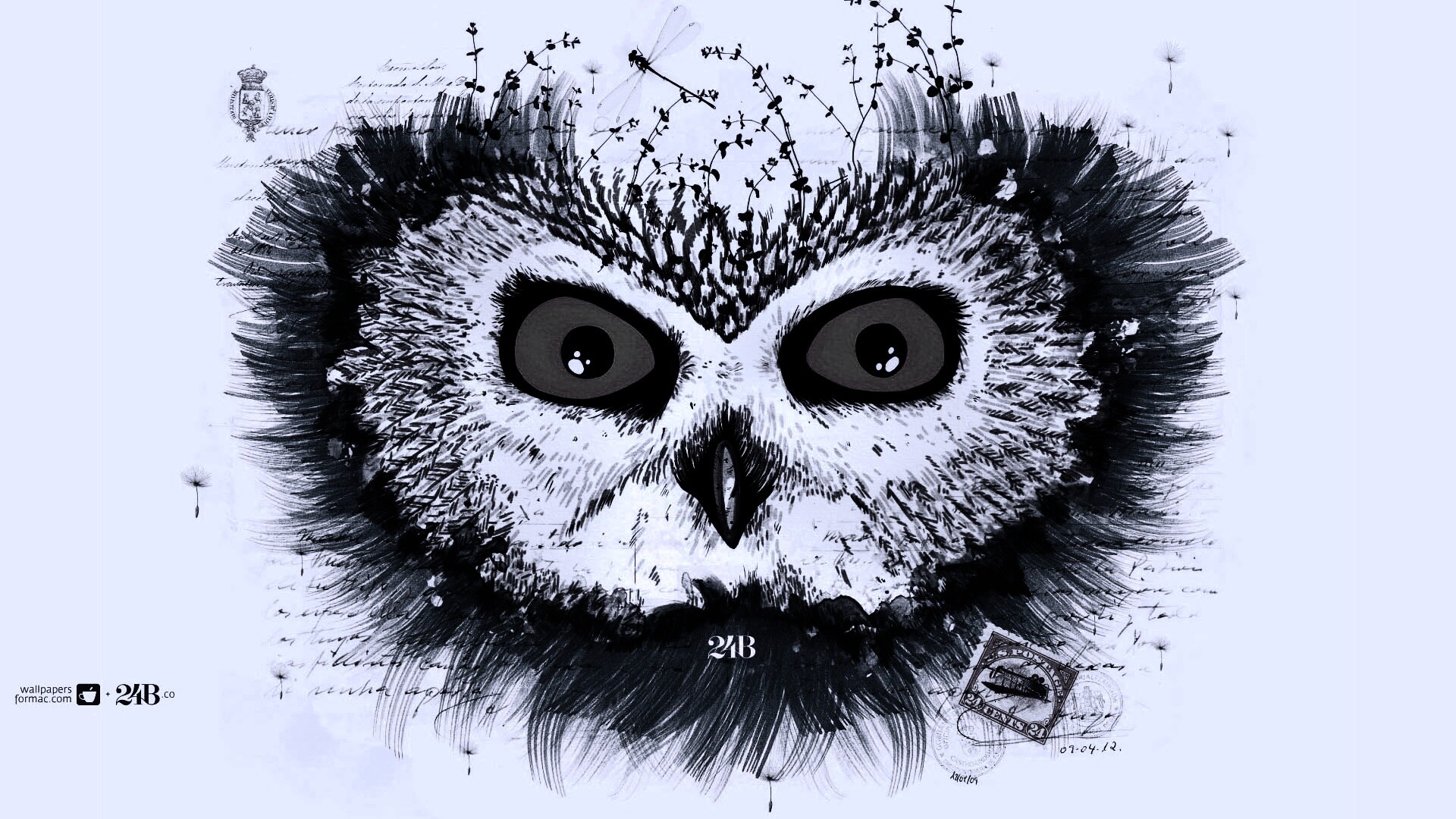 Обои сова для mac book обои