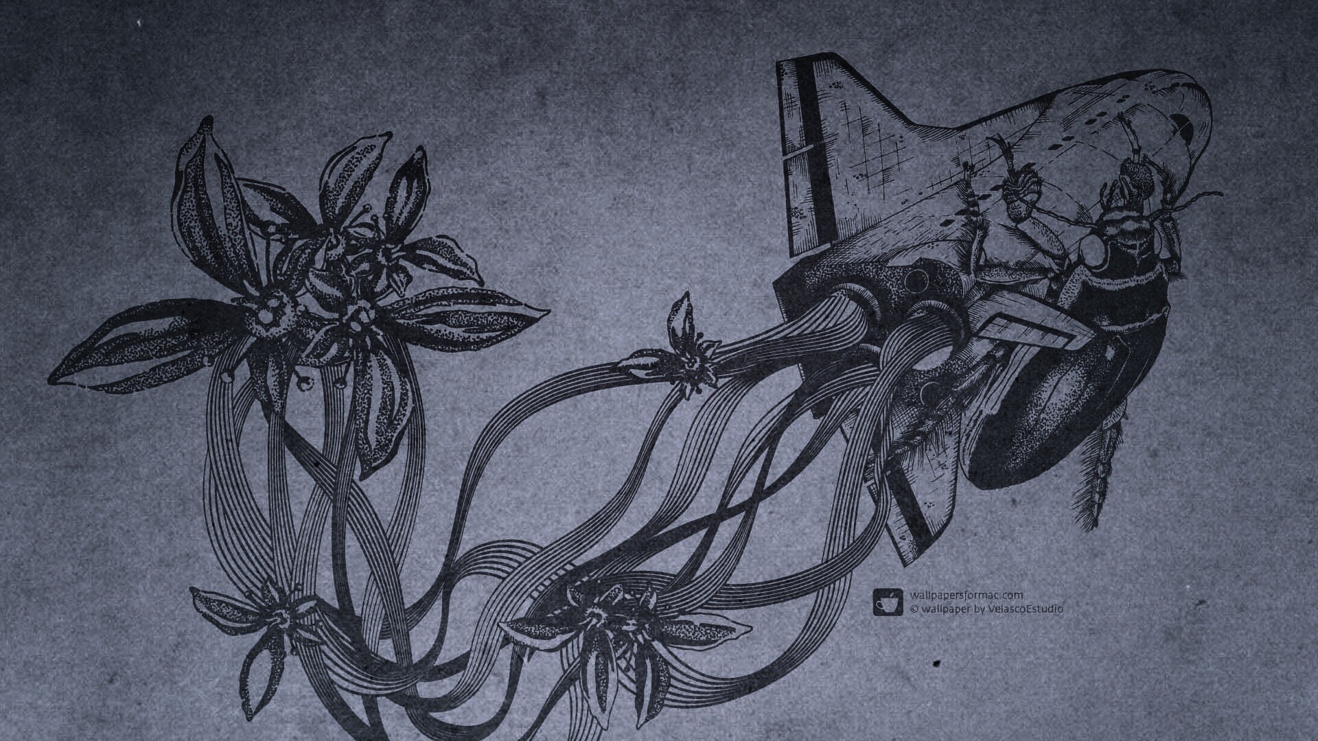 Абстракции для Apple обои