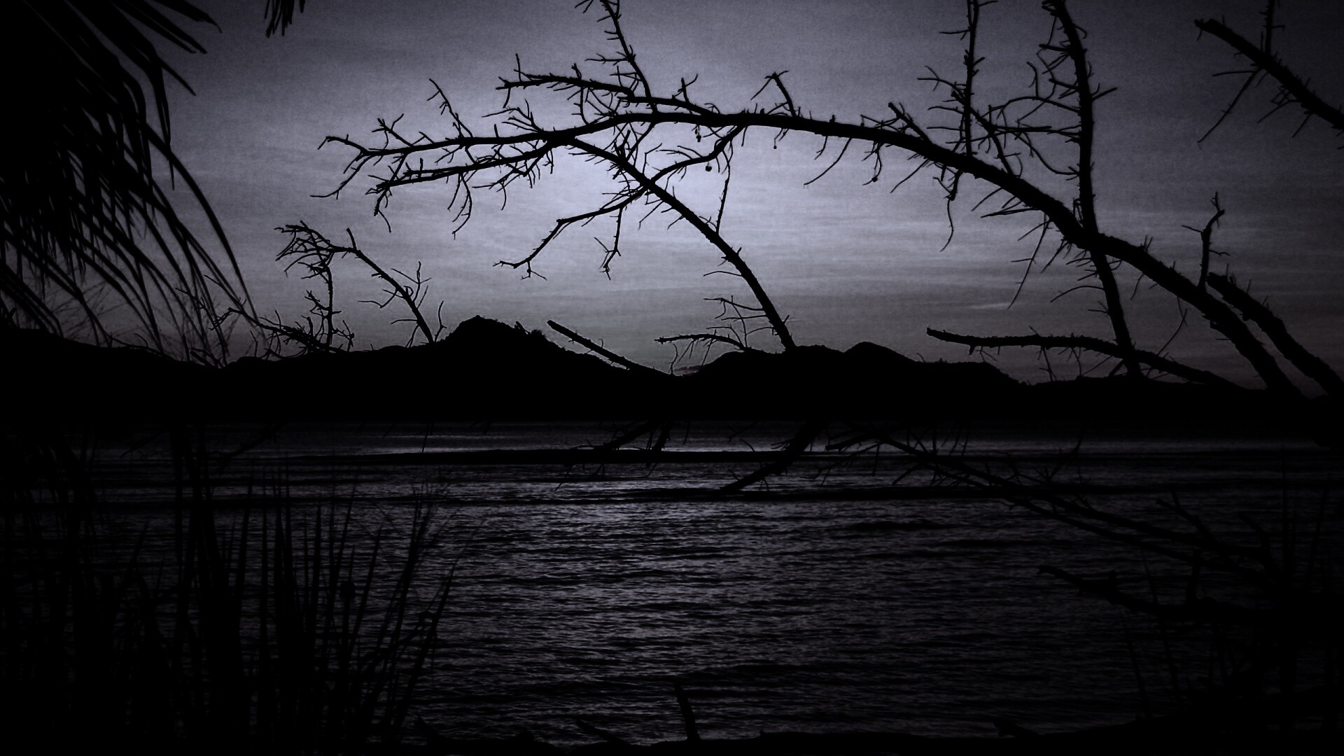 Тропический закат обои