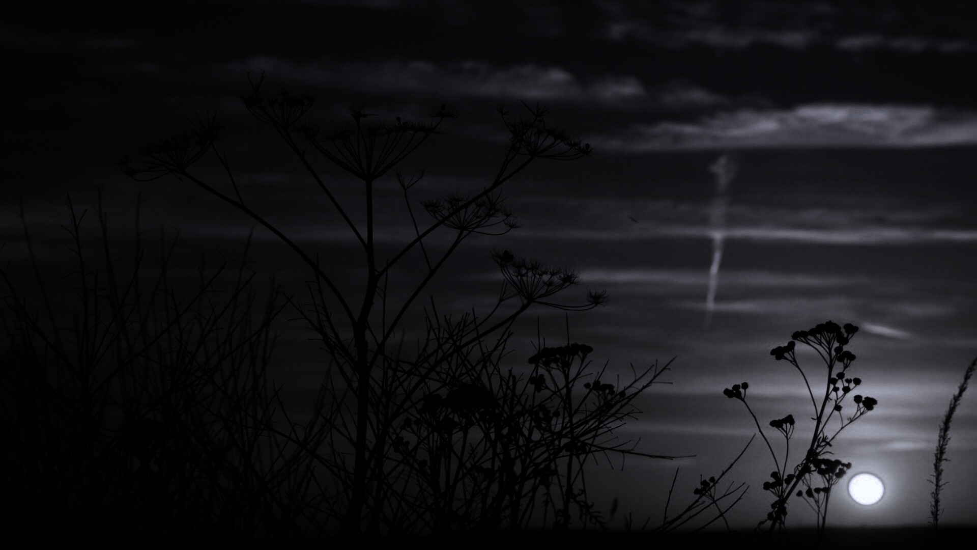 Степной закат обои