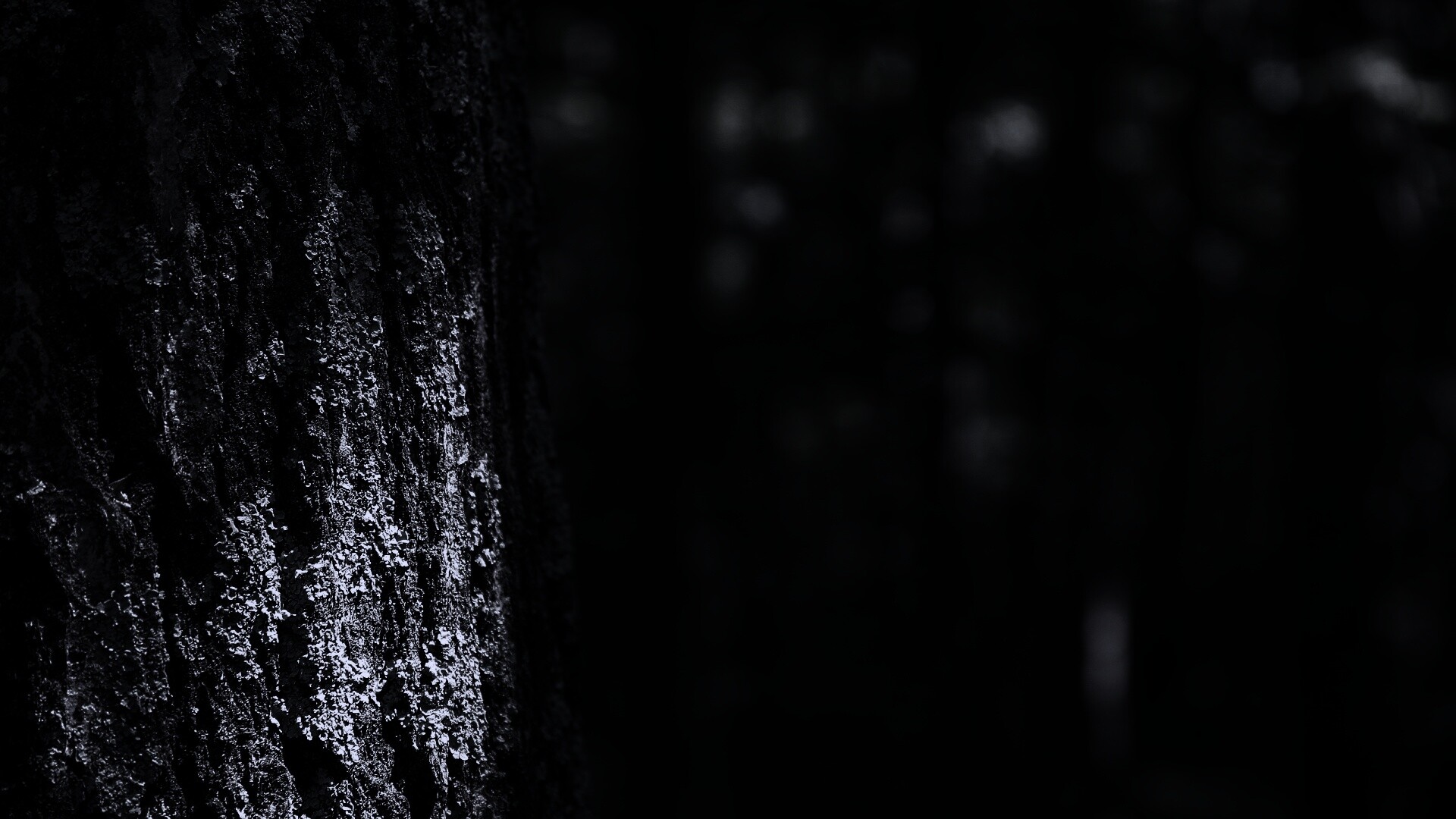 Ствол дерева обои