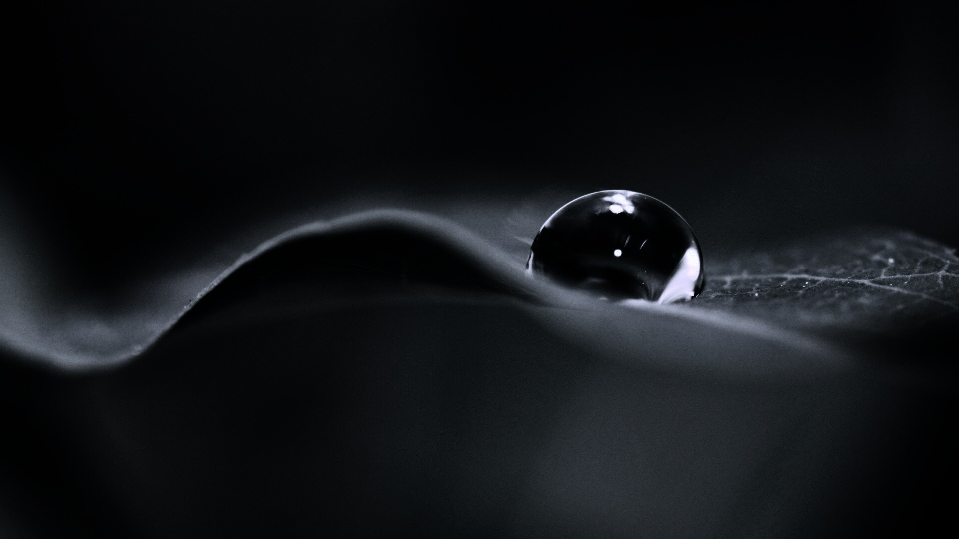 Фотография капли воды в макро обои