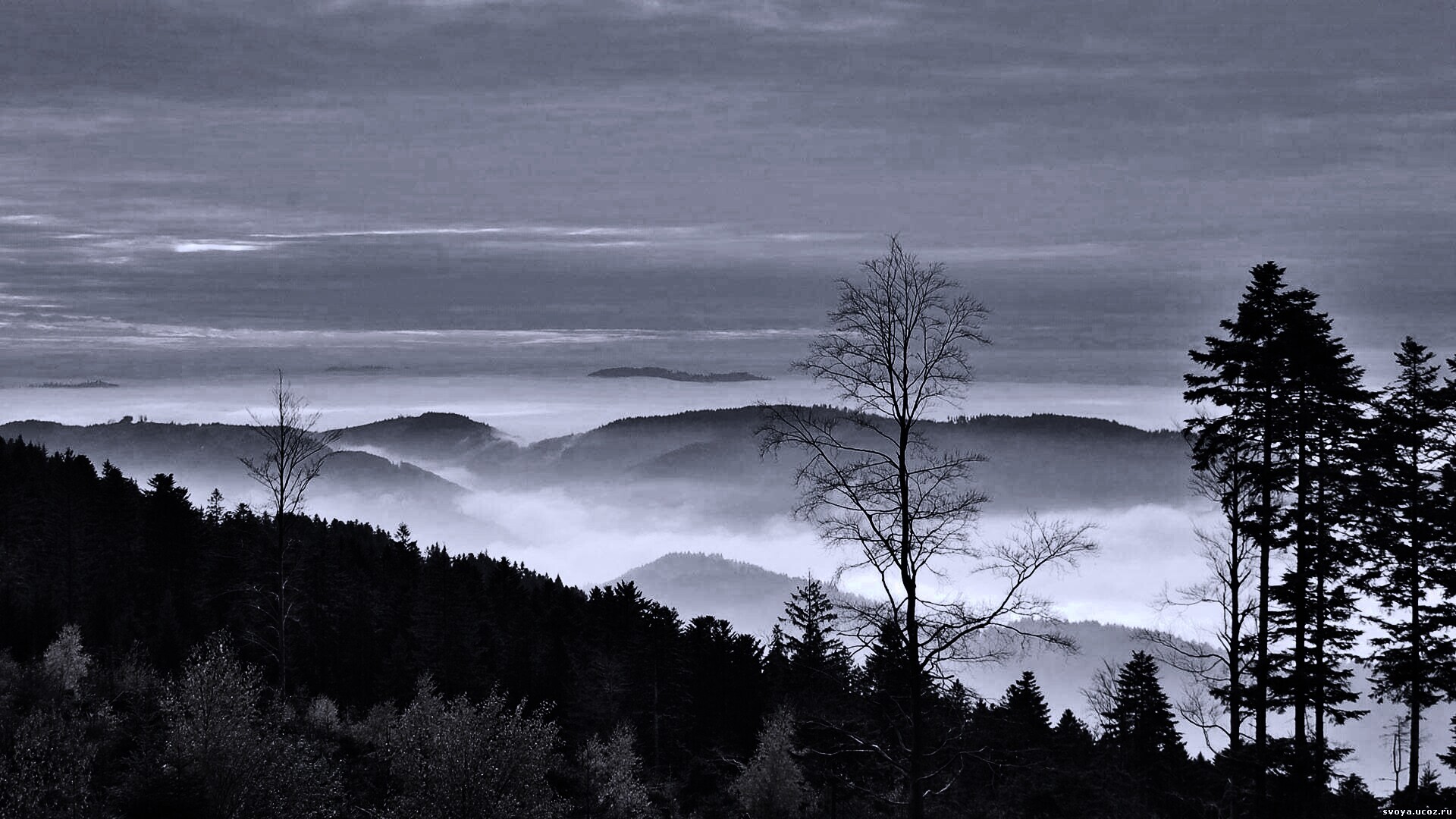 Холмы в тумане обои