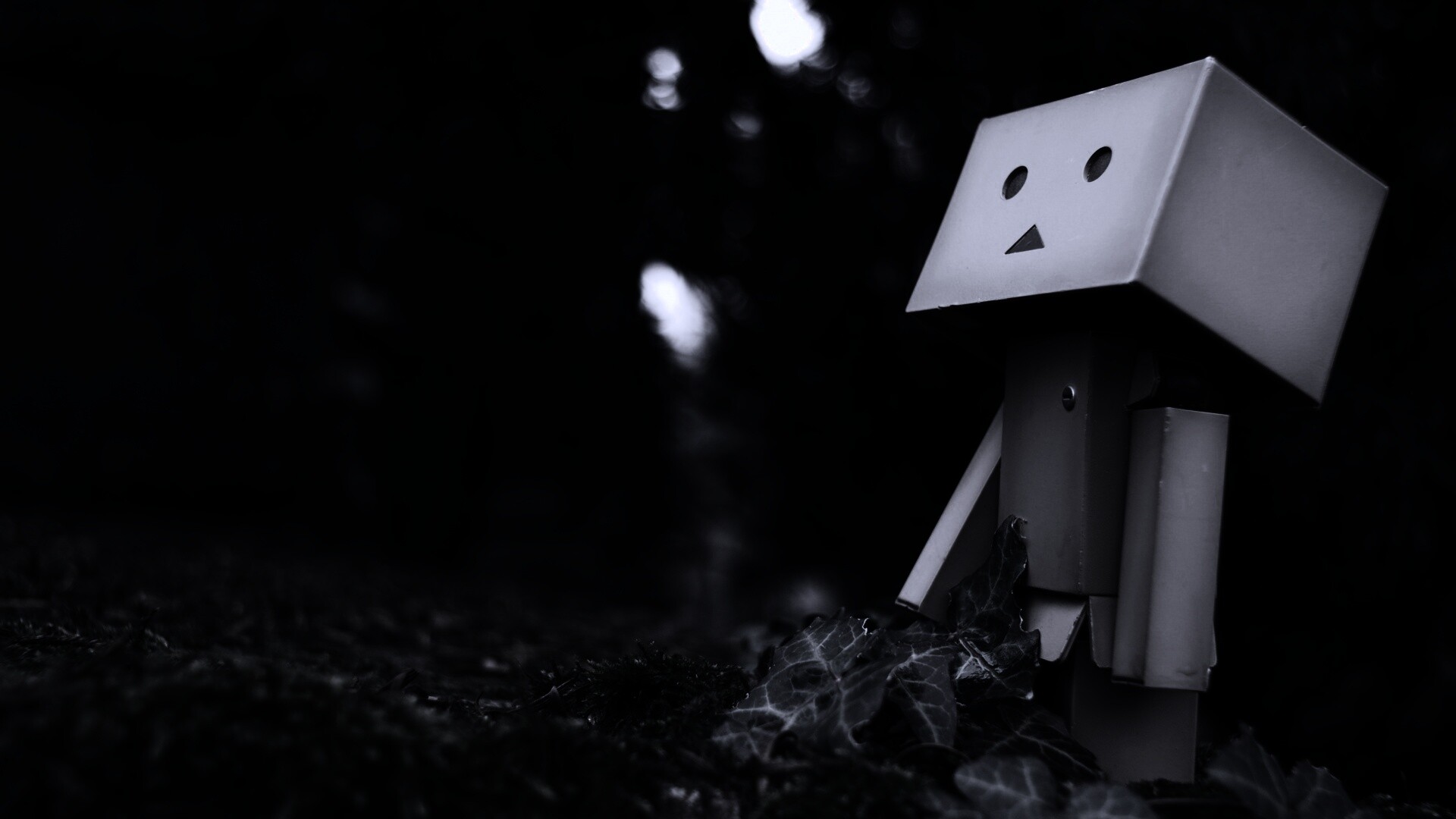 Danbo смотрит вверх обои