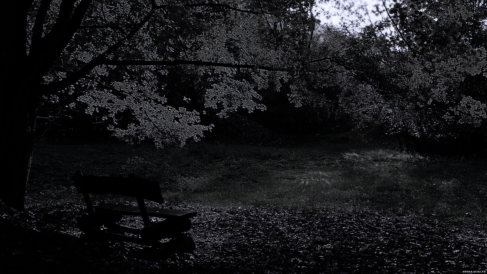 Скамейка под деревом обои