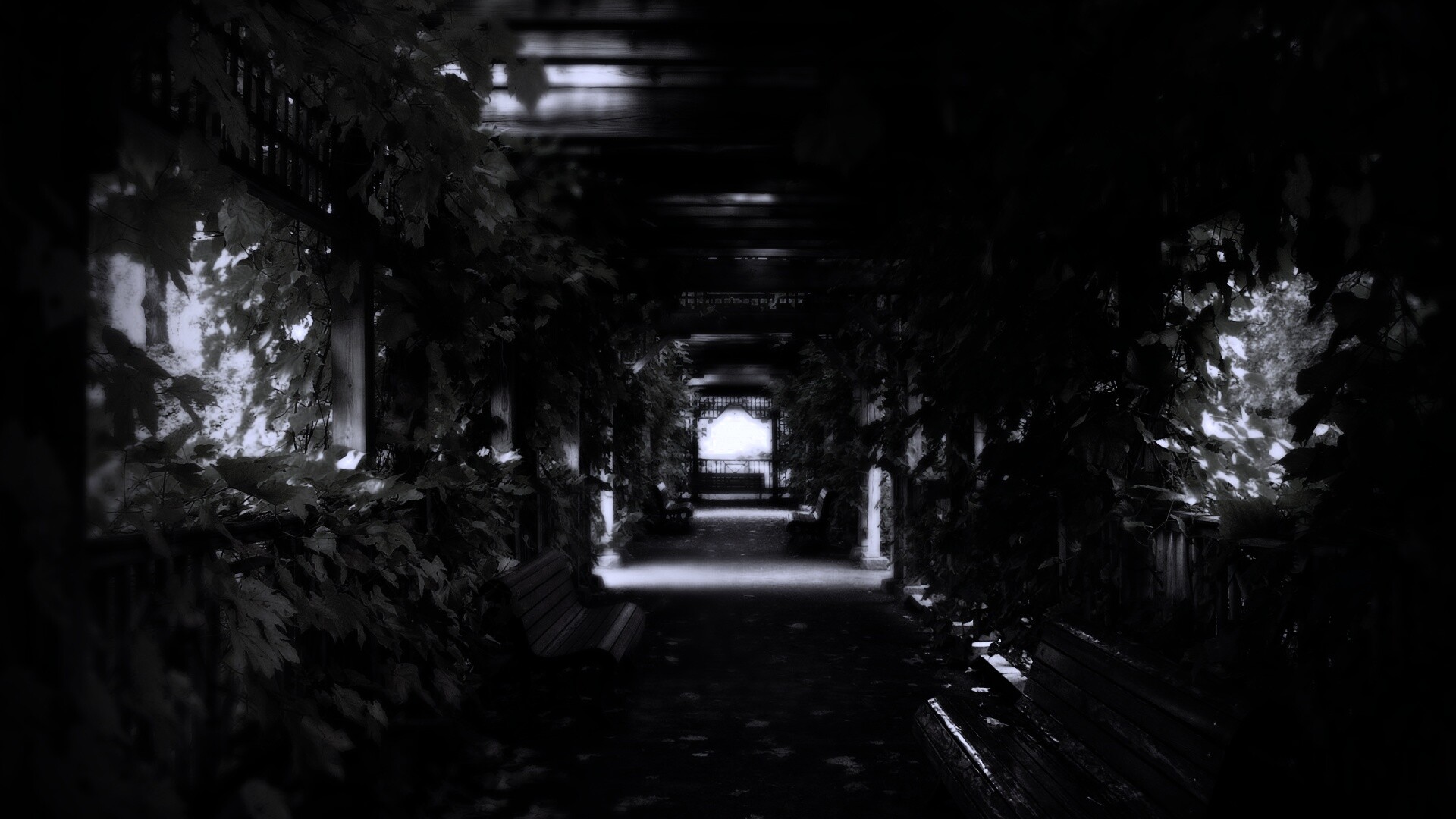 Узкая аллейка обои