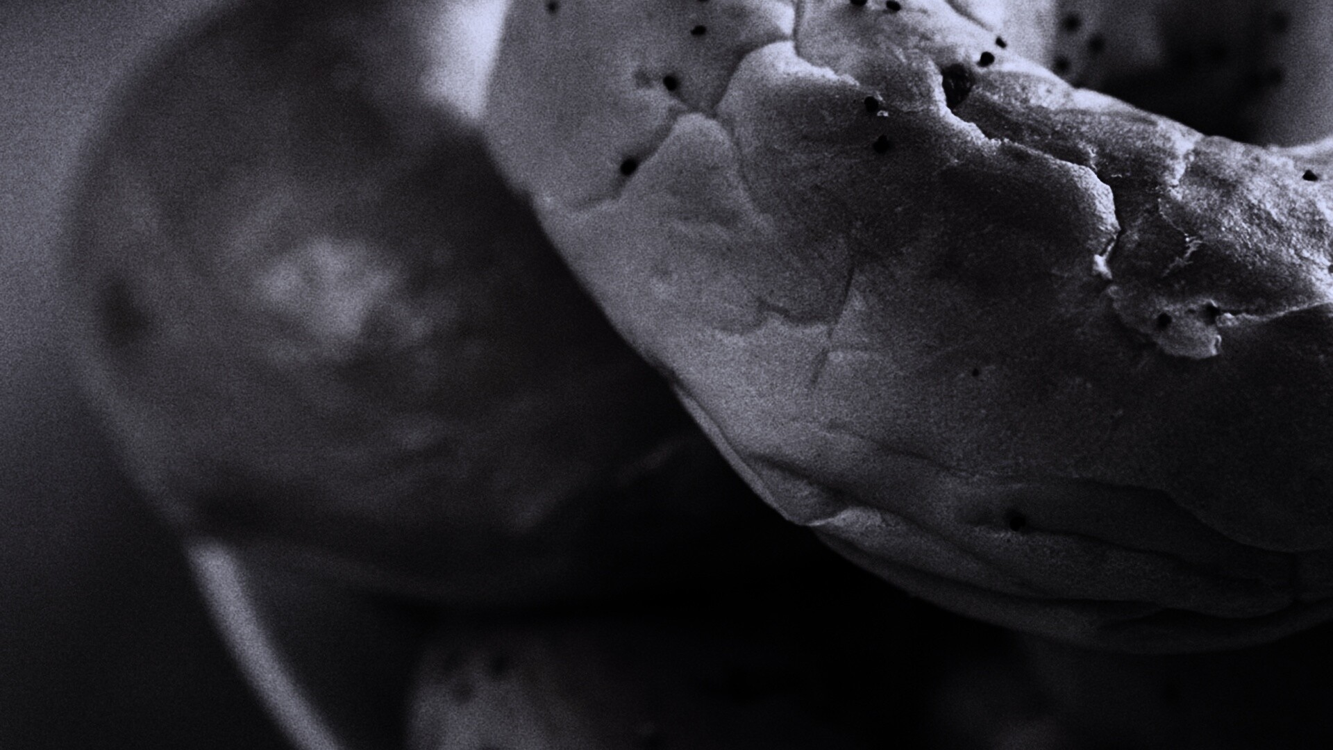 Булочки с маком обои