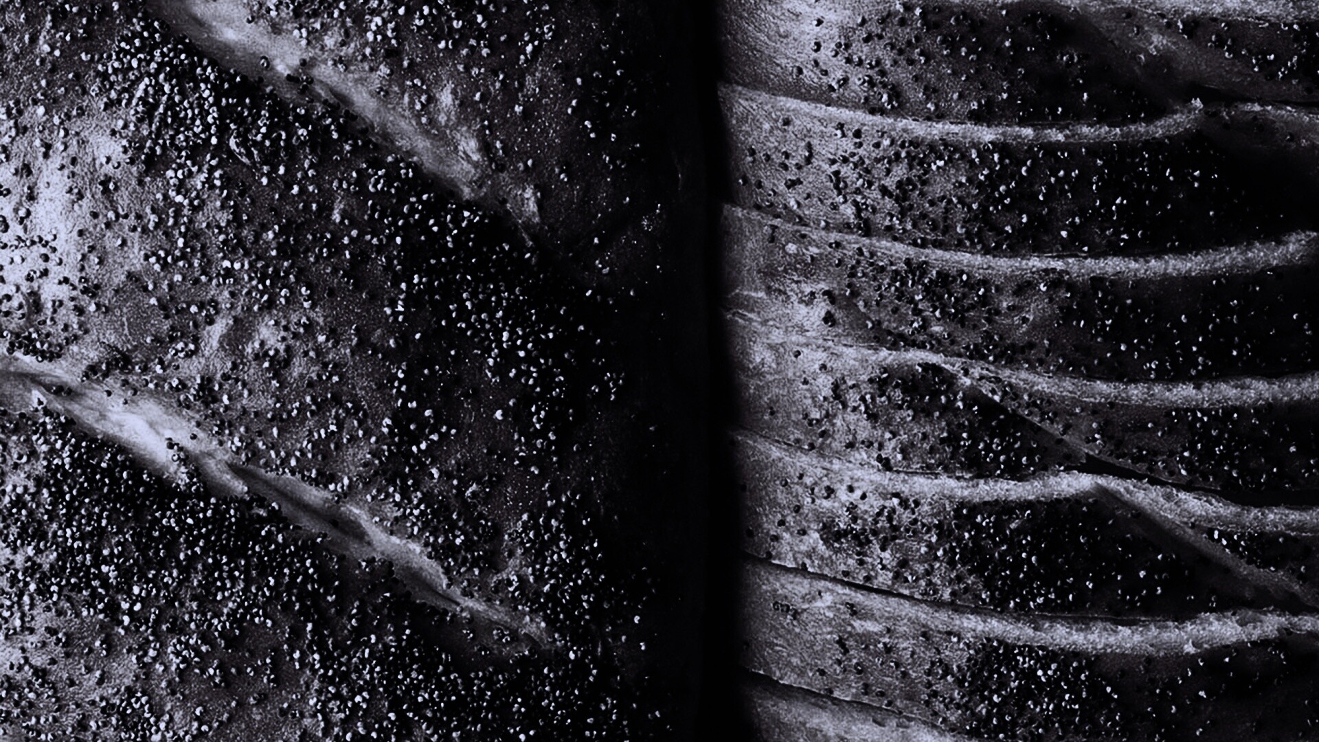 Выпечка с маковой крошкой обои