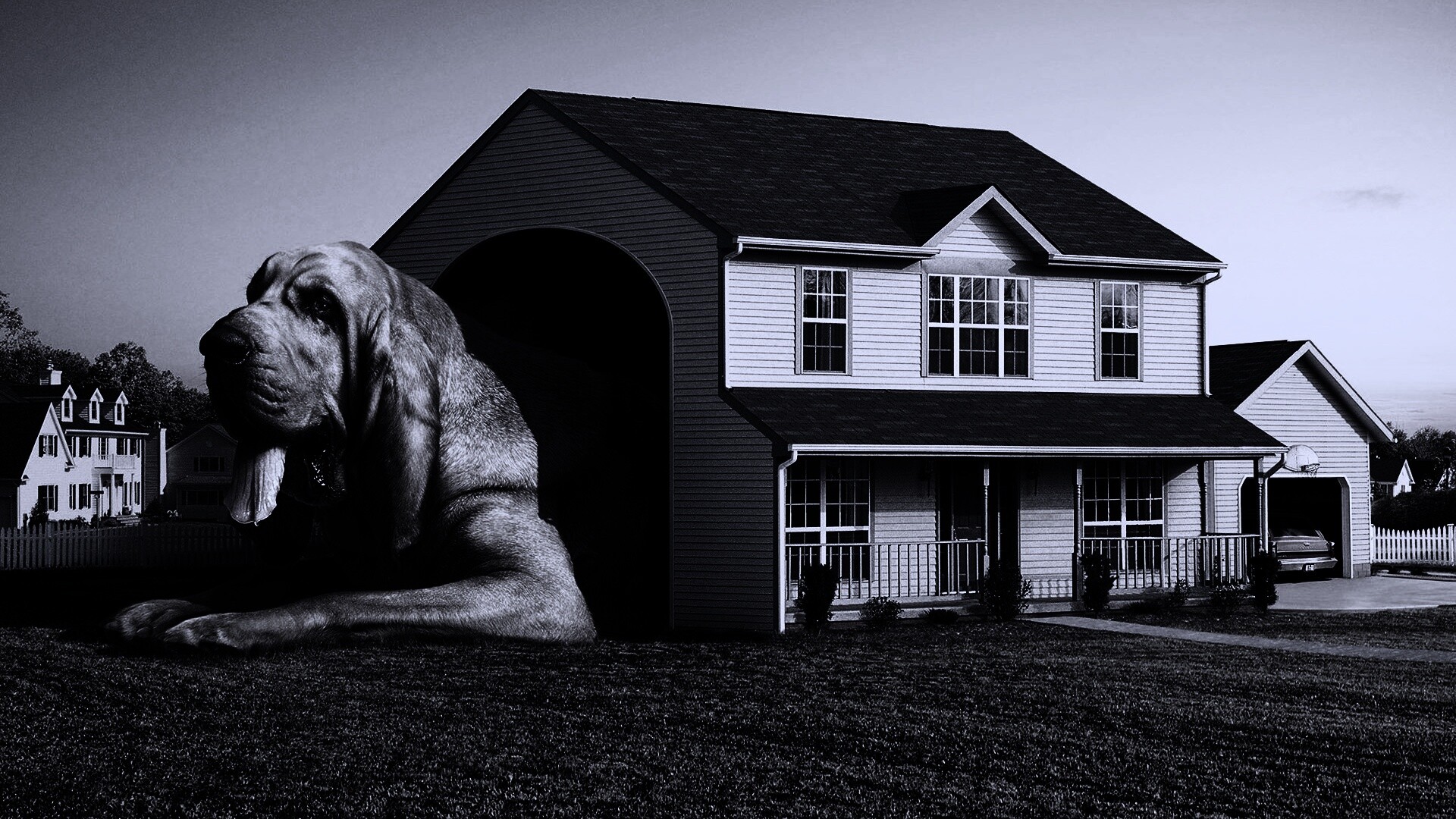 Действительно большая собака обои