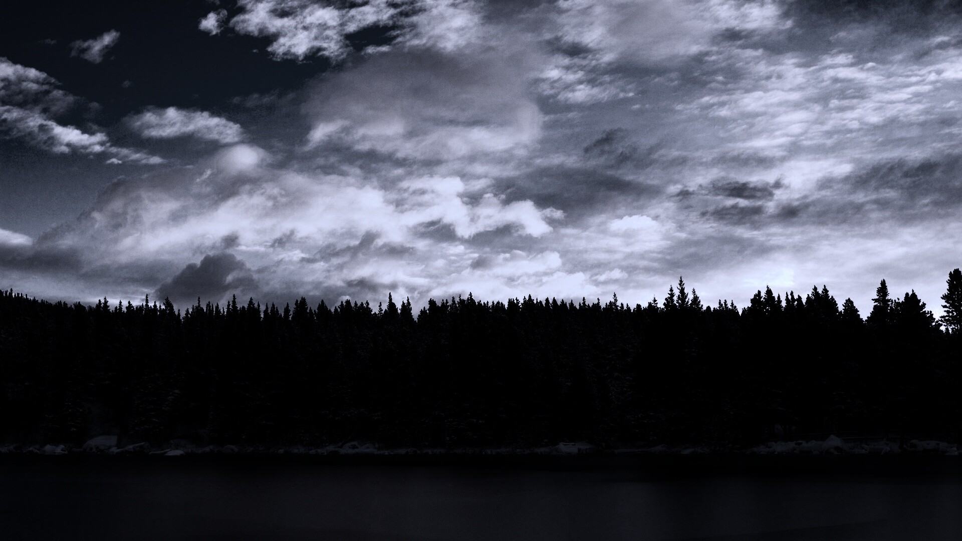 Лес на озере обои