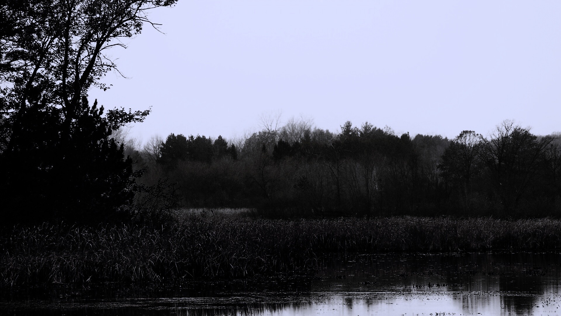 Живописные болота обои