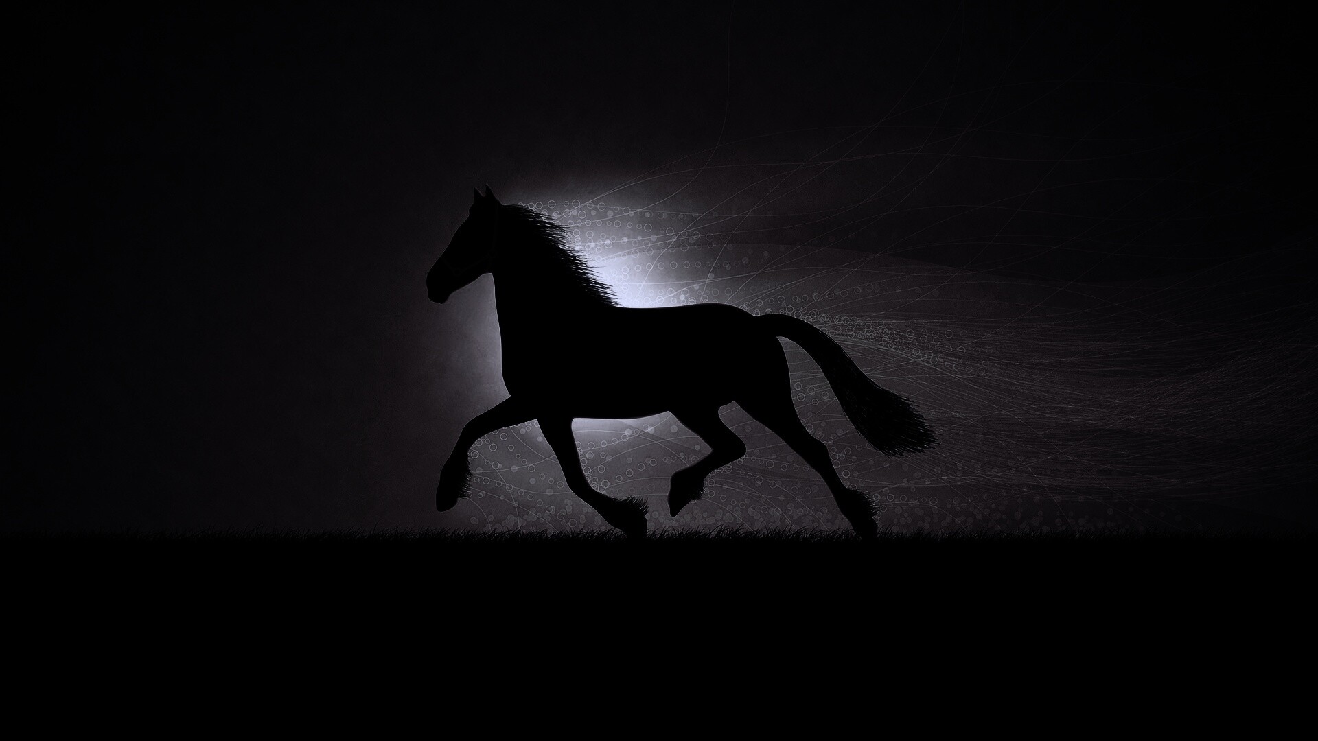 Силует коня на закате обои