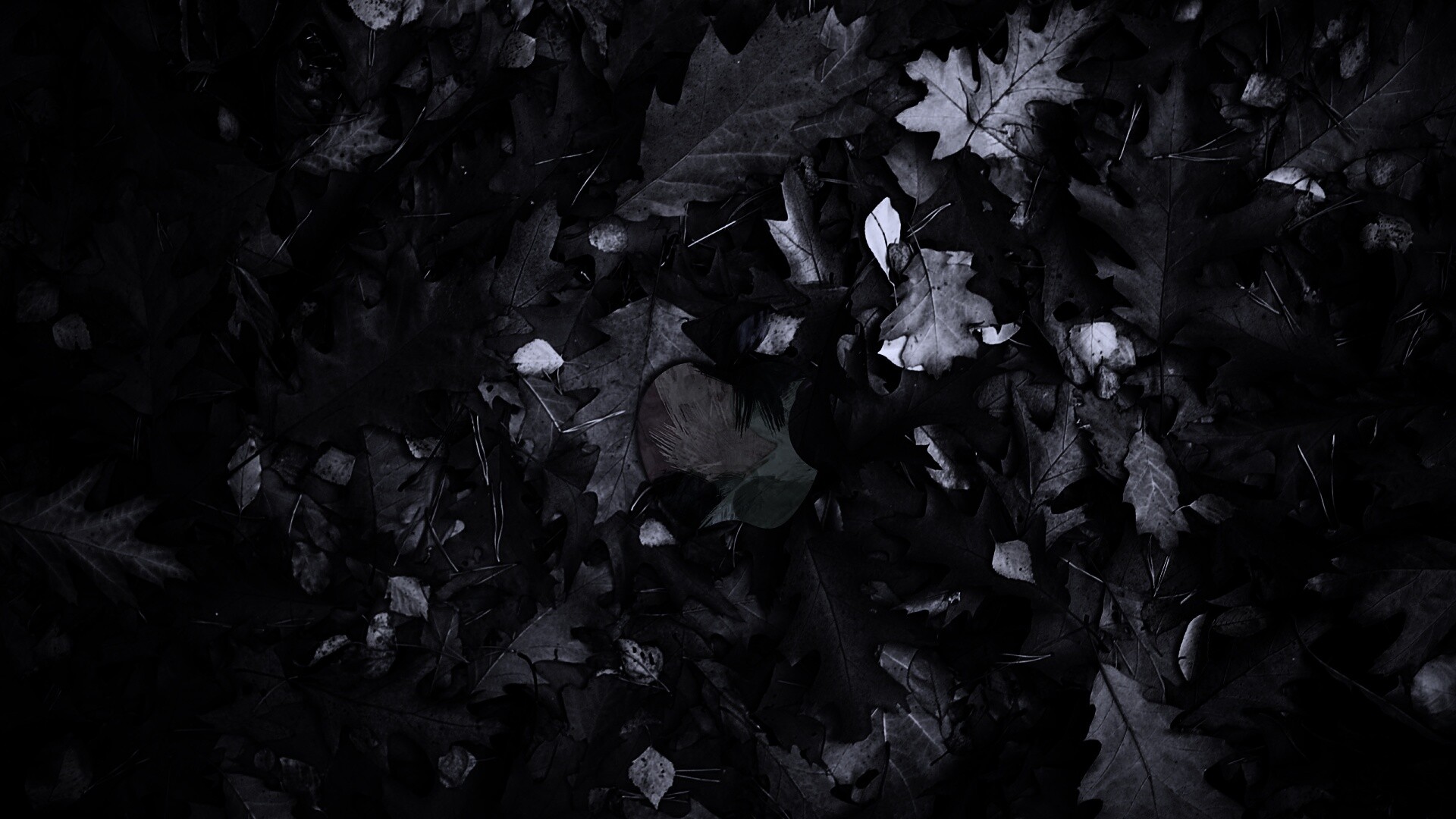 Яблоко в листьях обои