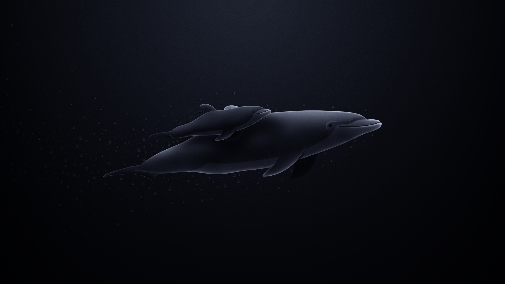 Дельфин и дельфиненок обои