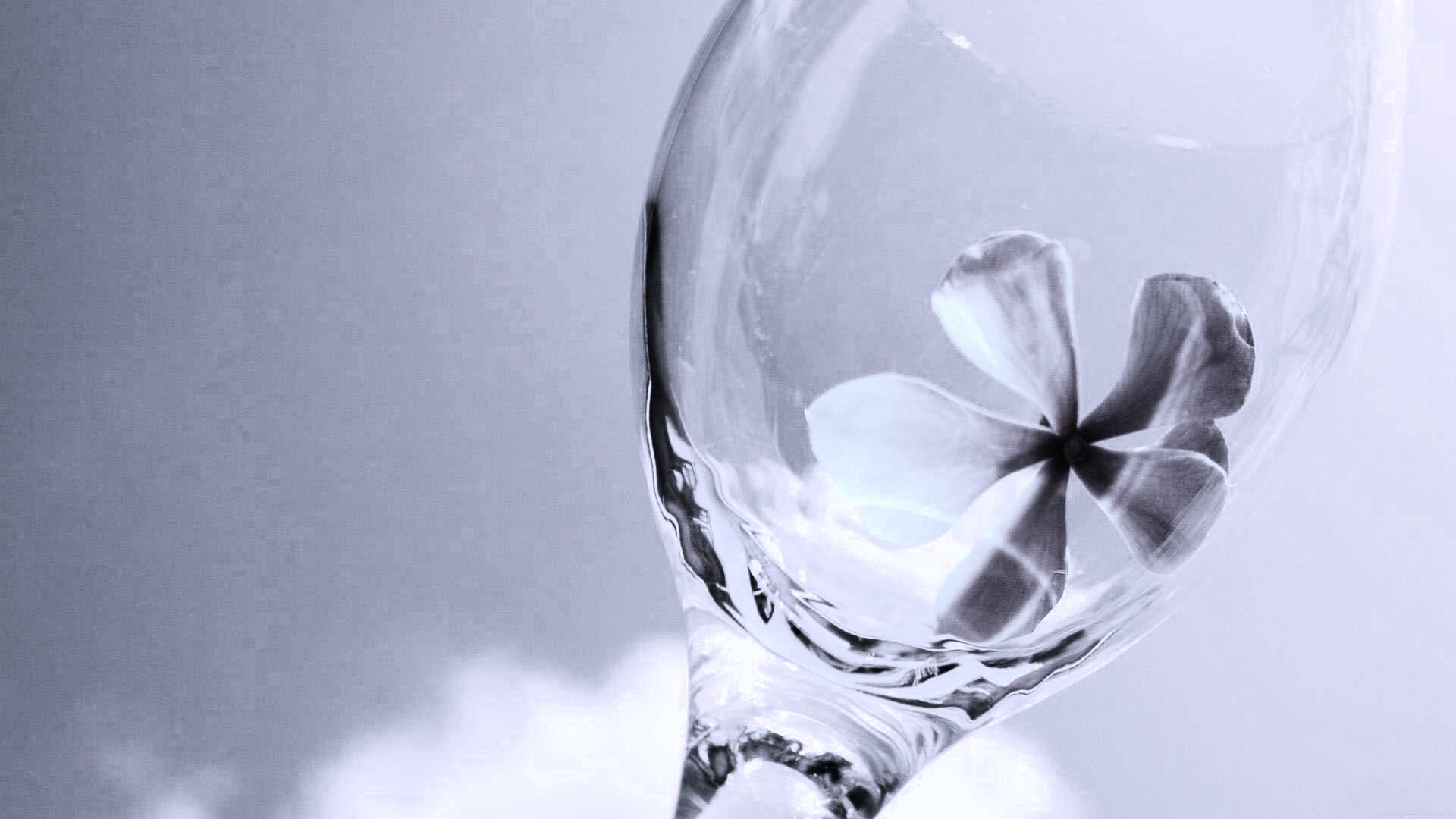 Нежный цветок в бокале на фоне голубого неба обои