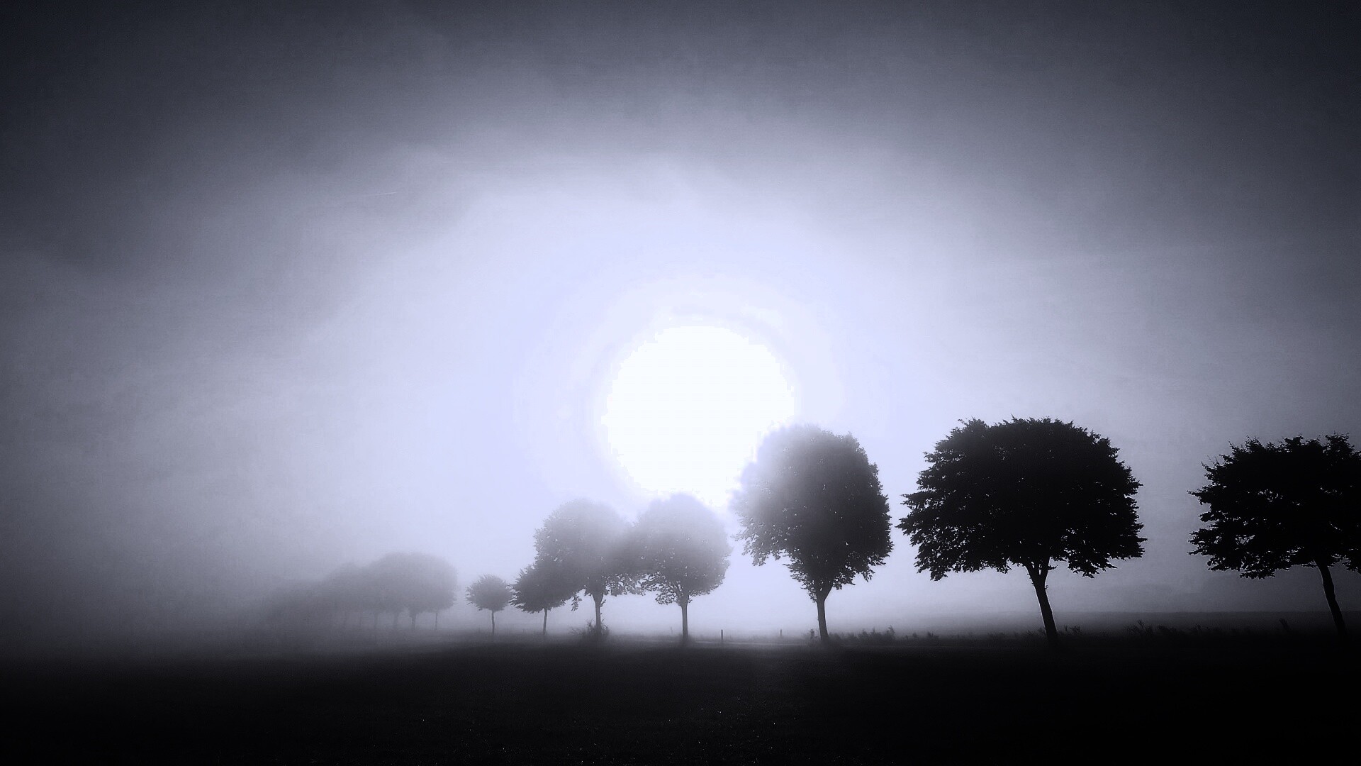 Деревья в поле обои