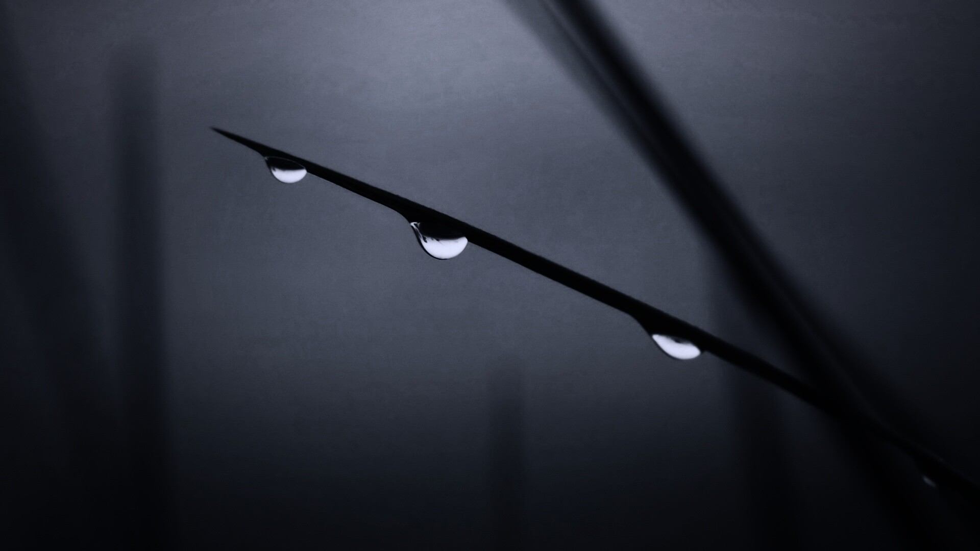 Трава после дождя обои