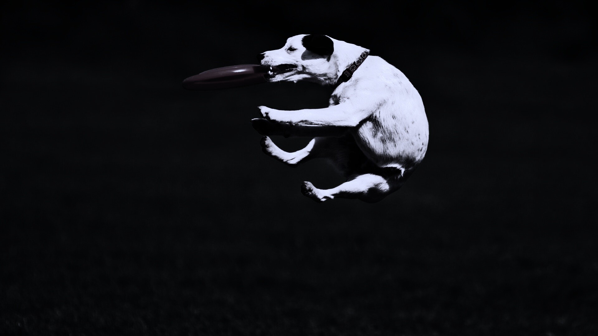 Ловкач обои