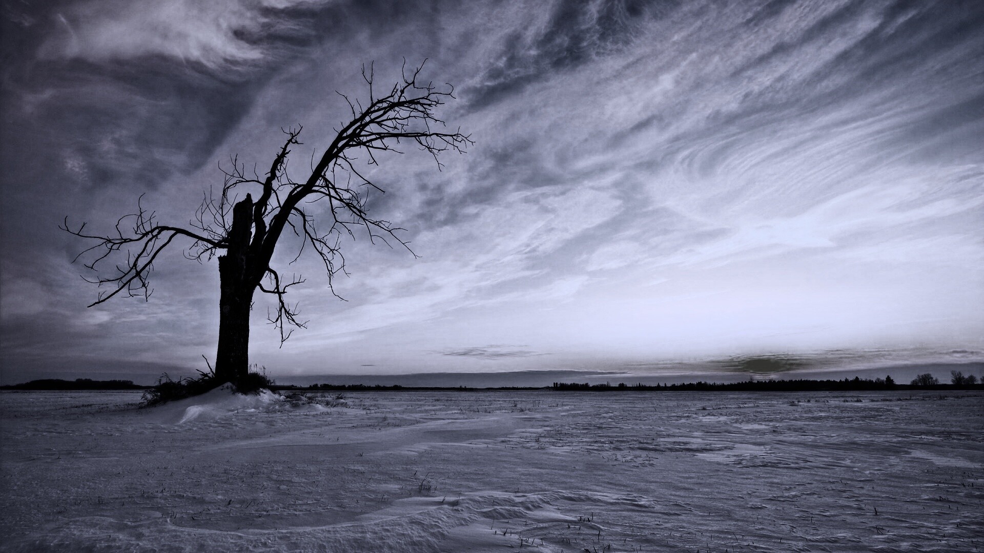 Сломанное дерево в снежной тундре обои