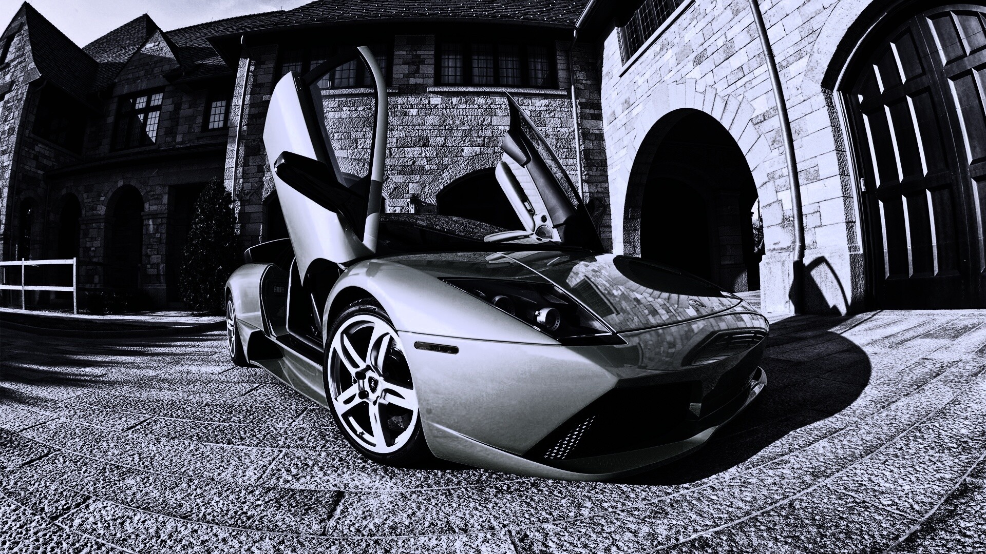 Зеленая ламба обои