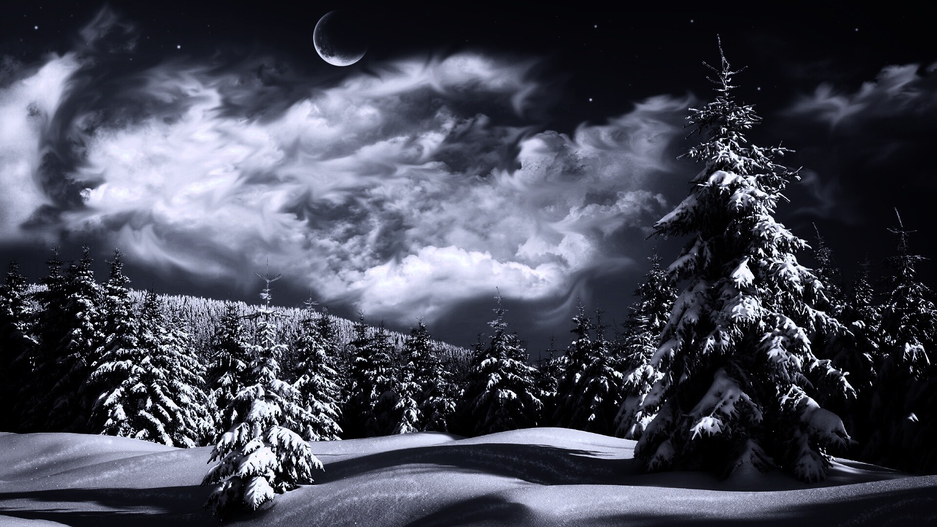 Зимний еловый лес обои