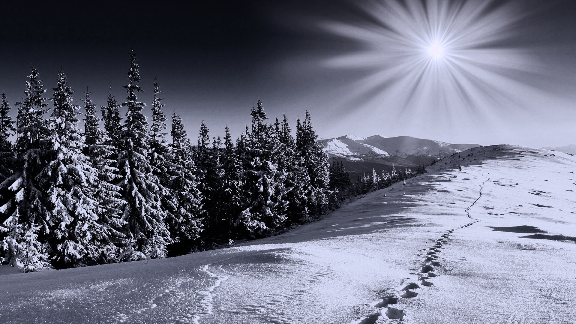 Холодные лучи зимнего солнца обои