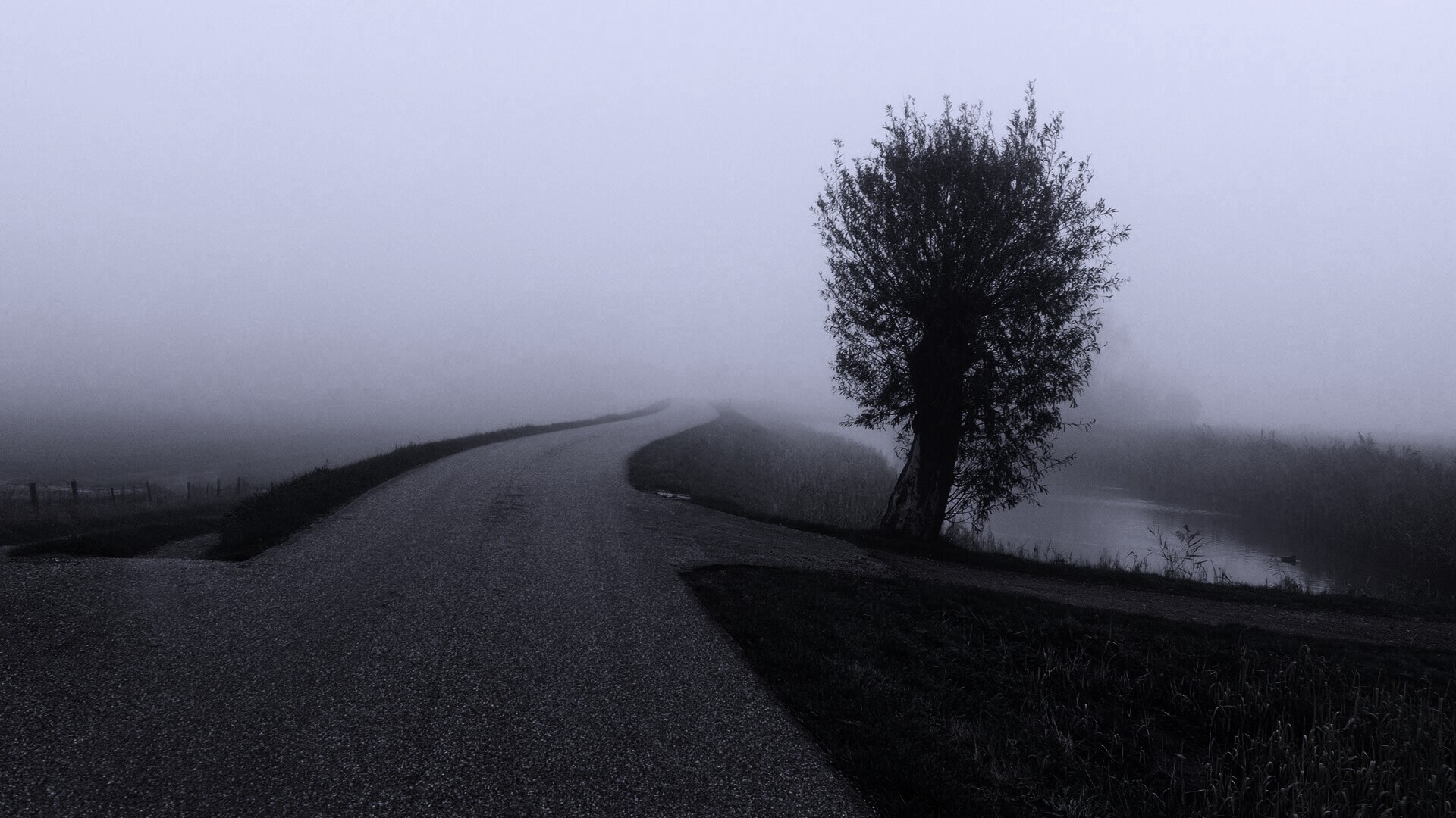 Дорога растворяется в тумане обои