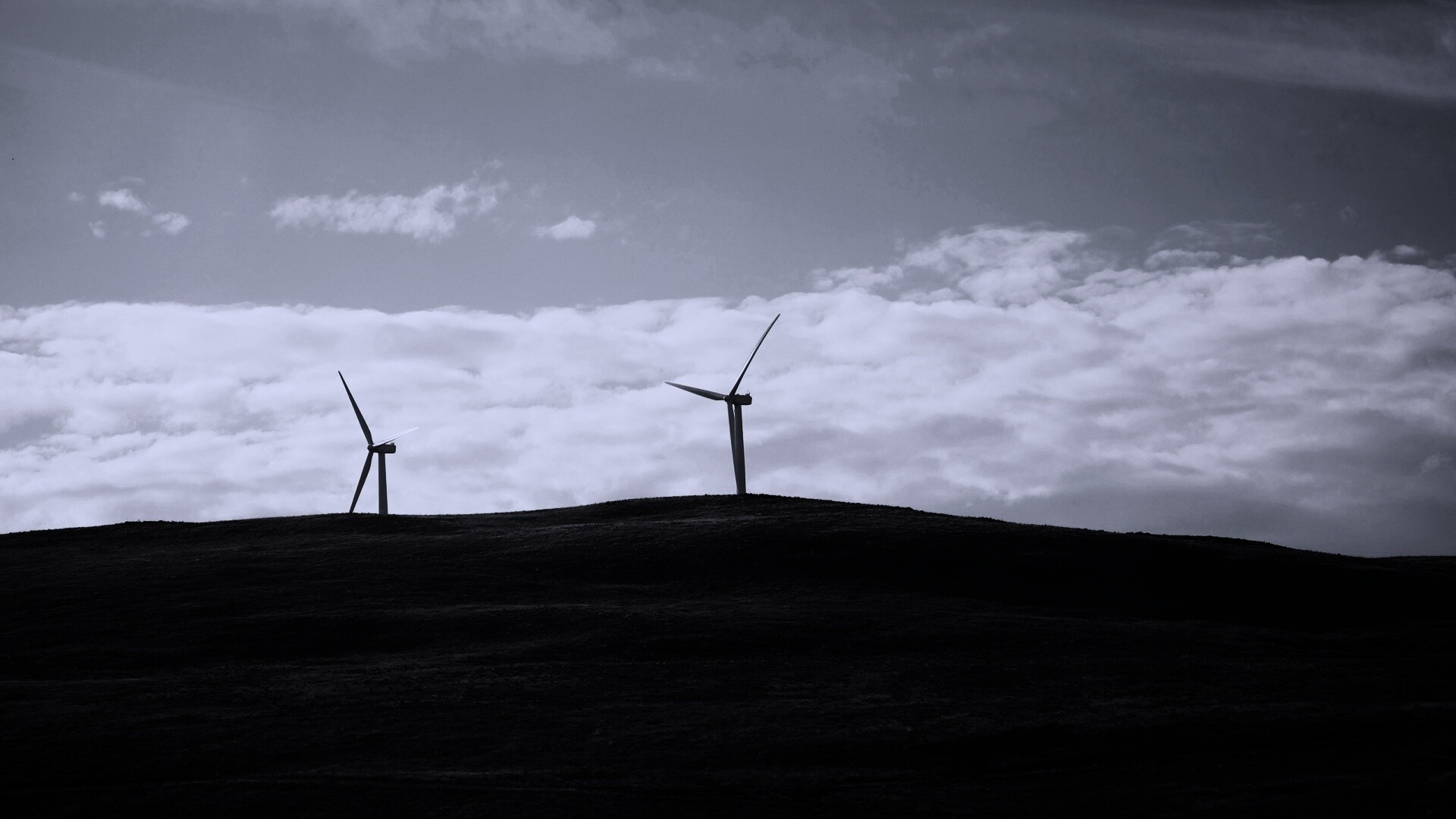 Ветряки в поле обои