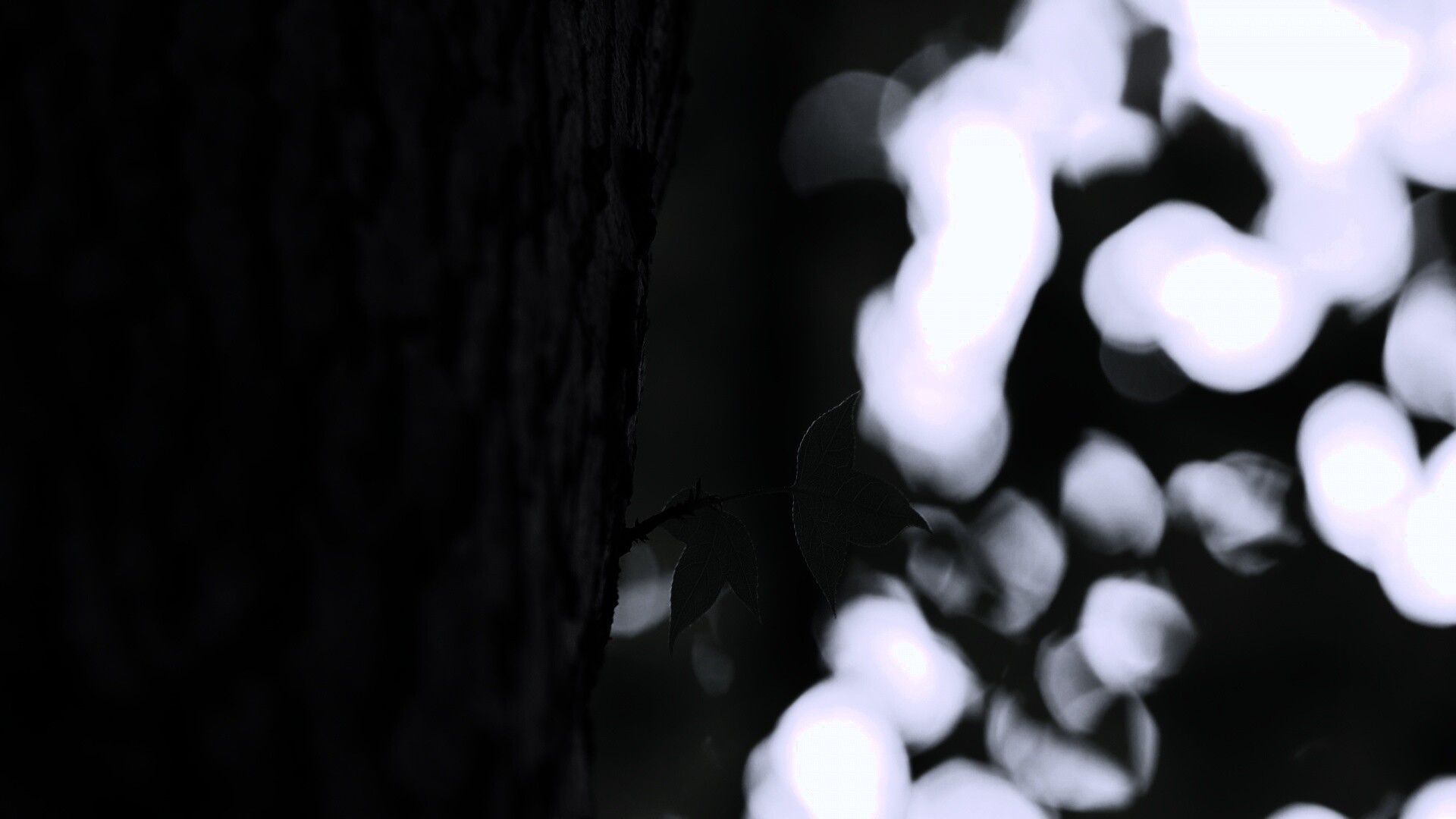 Листок на стволе дерева обои