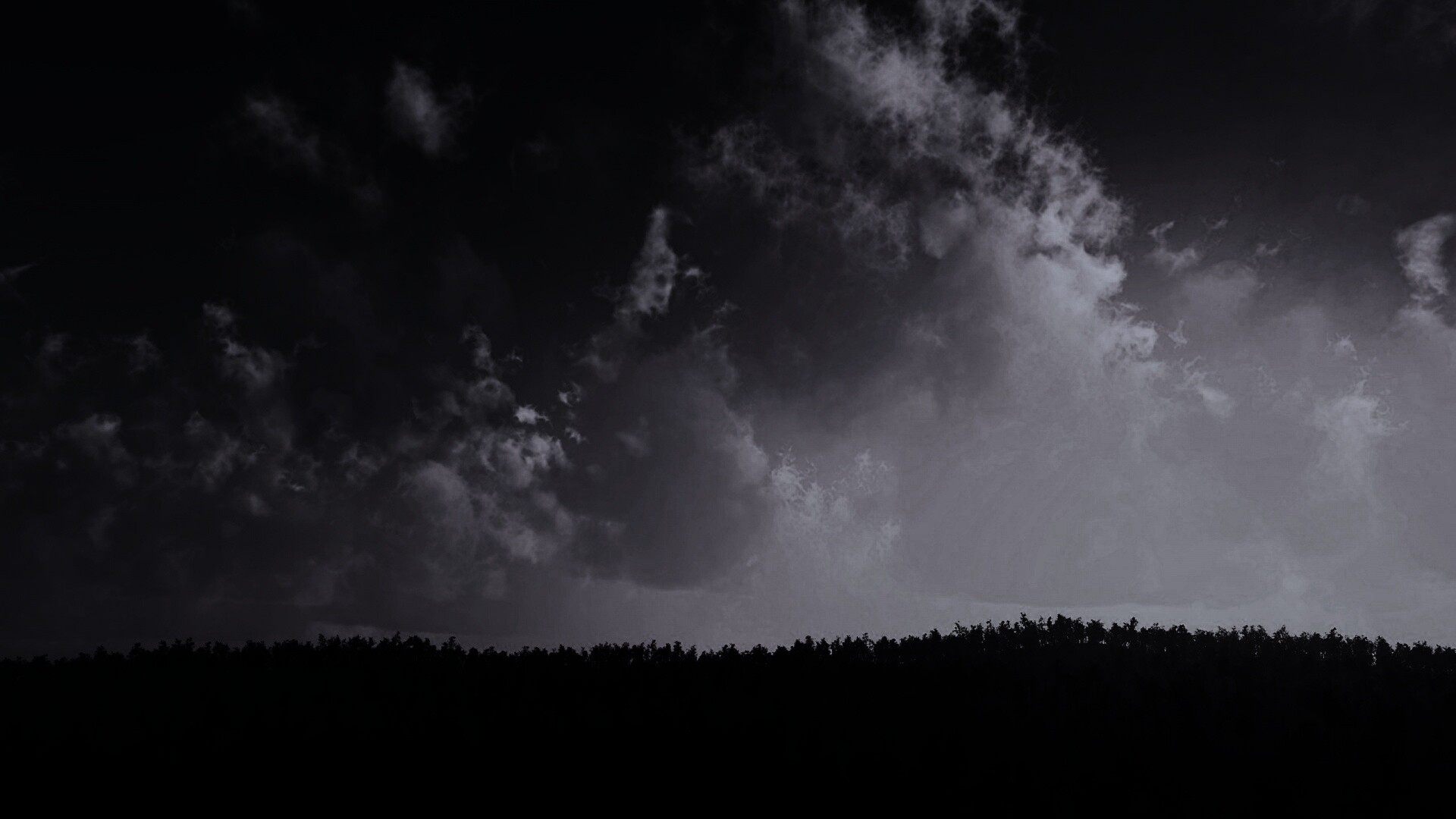 Закат над лесом обои