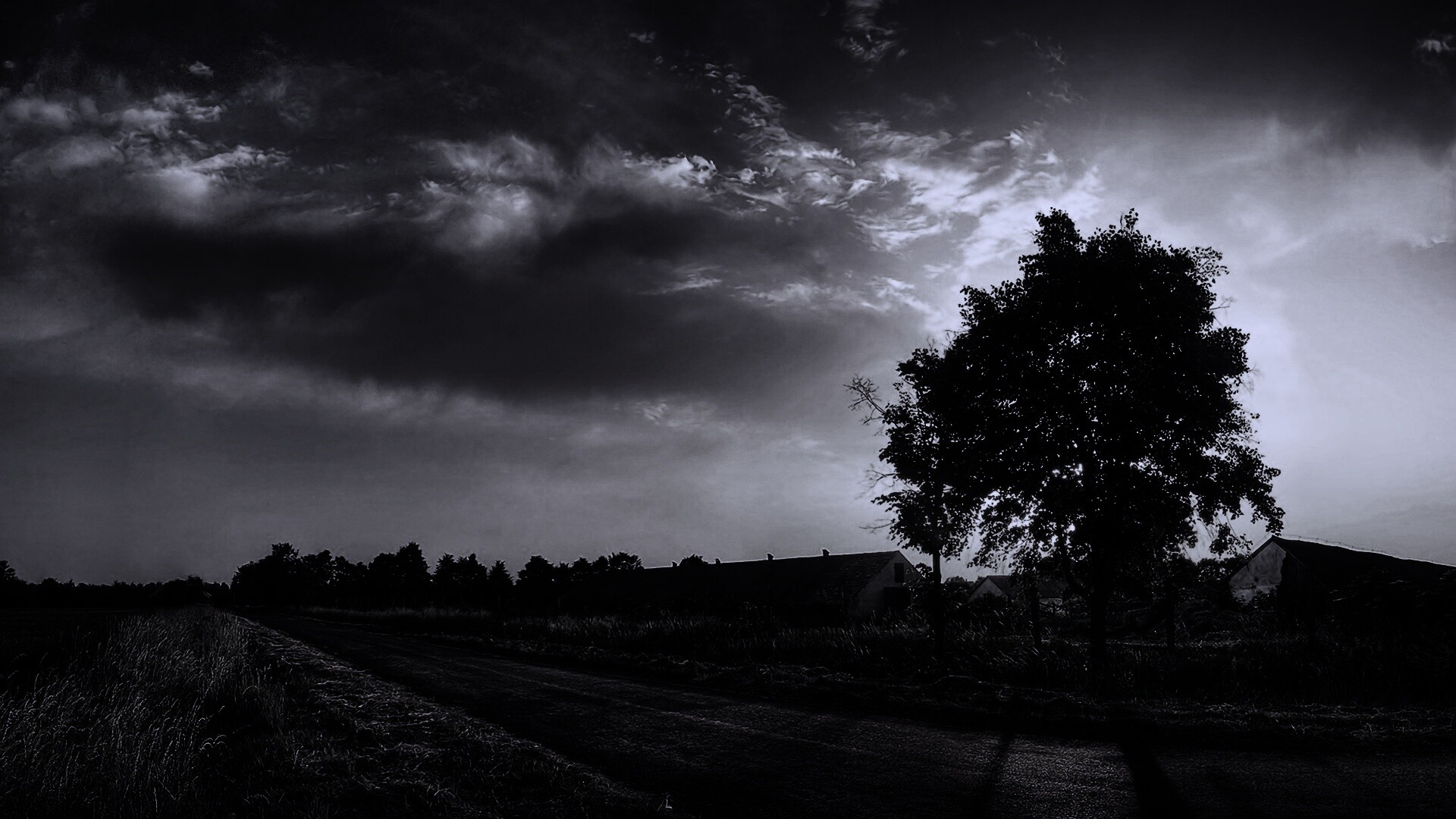 Закат на фоне дерева в HDR обои