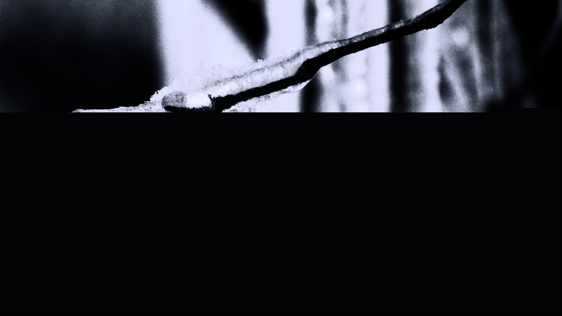 Сосуля обои