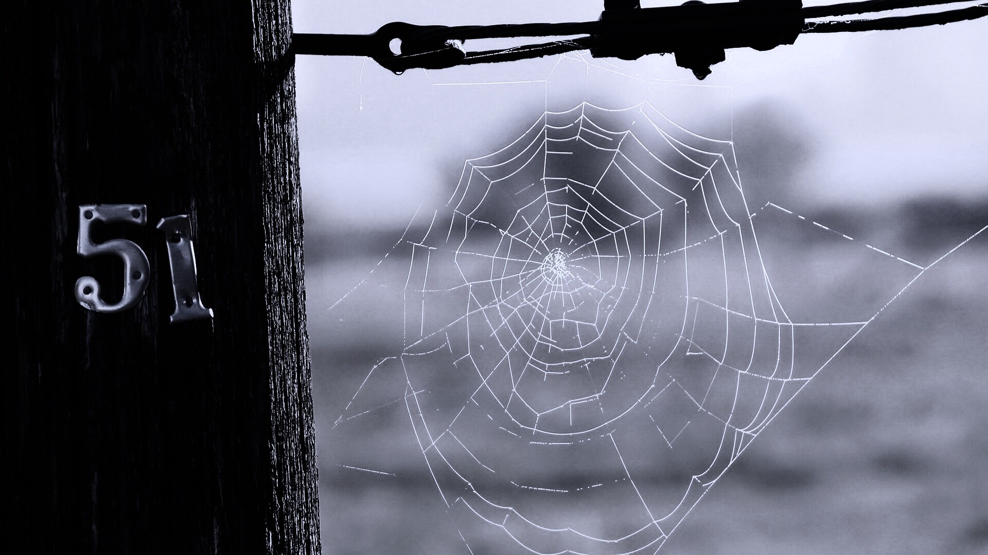 Паутина 51 обои