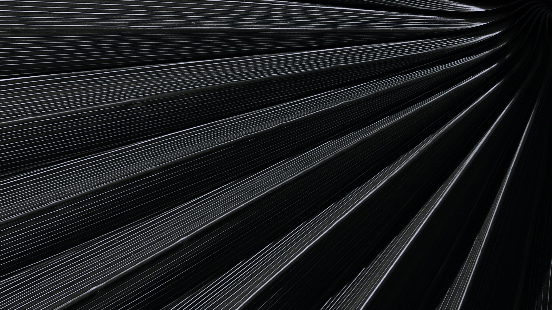 Зеленый пальмовый лист обои