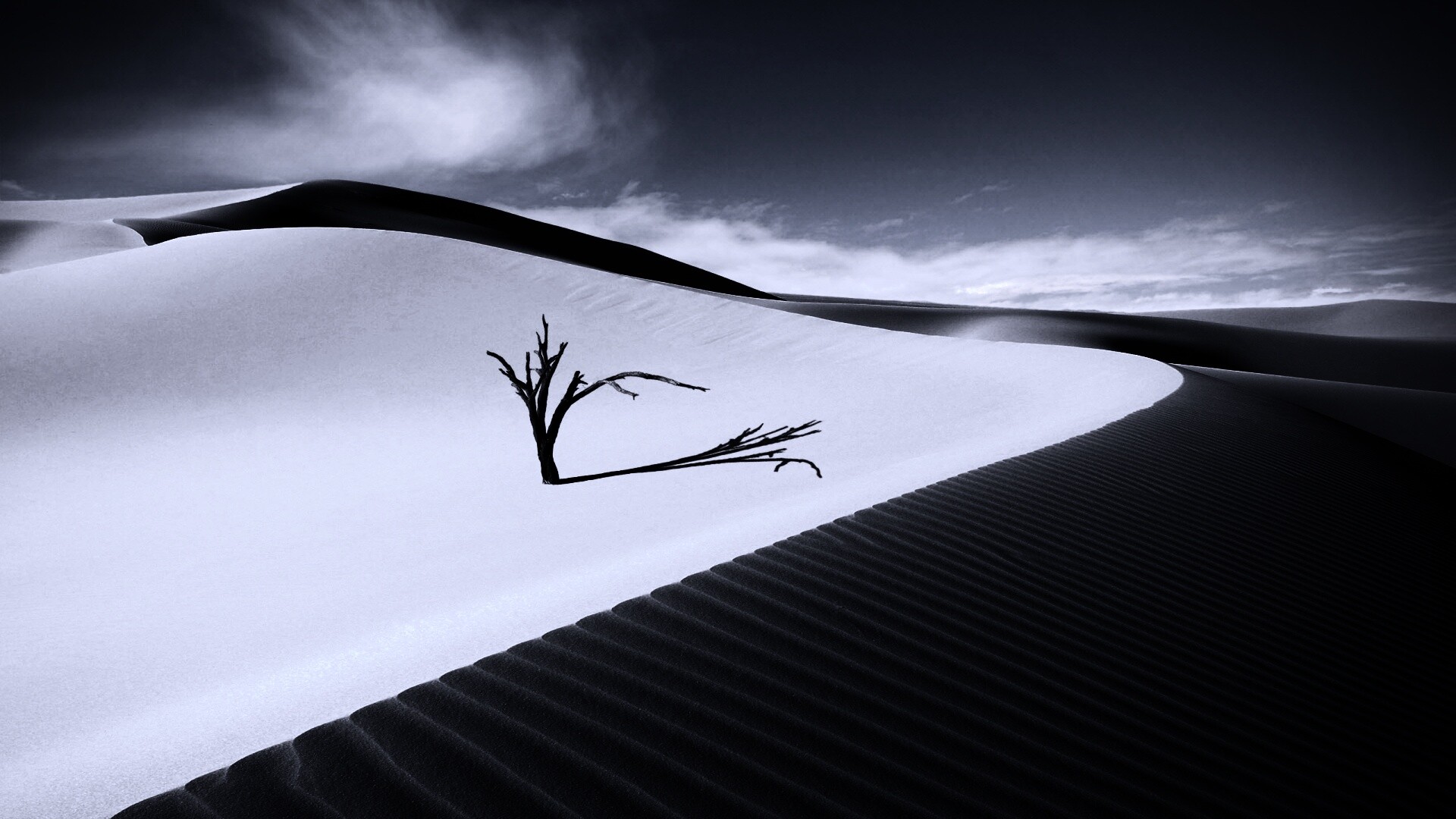 Дюны белого песка обои