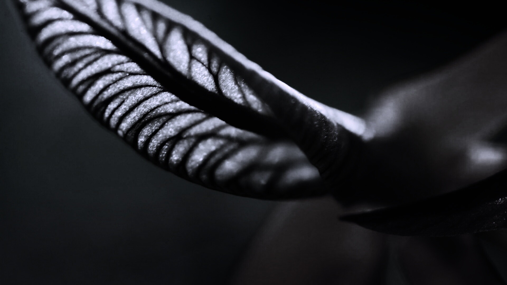 Сетчатый лист обои