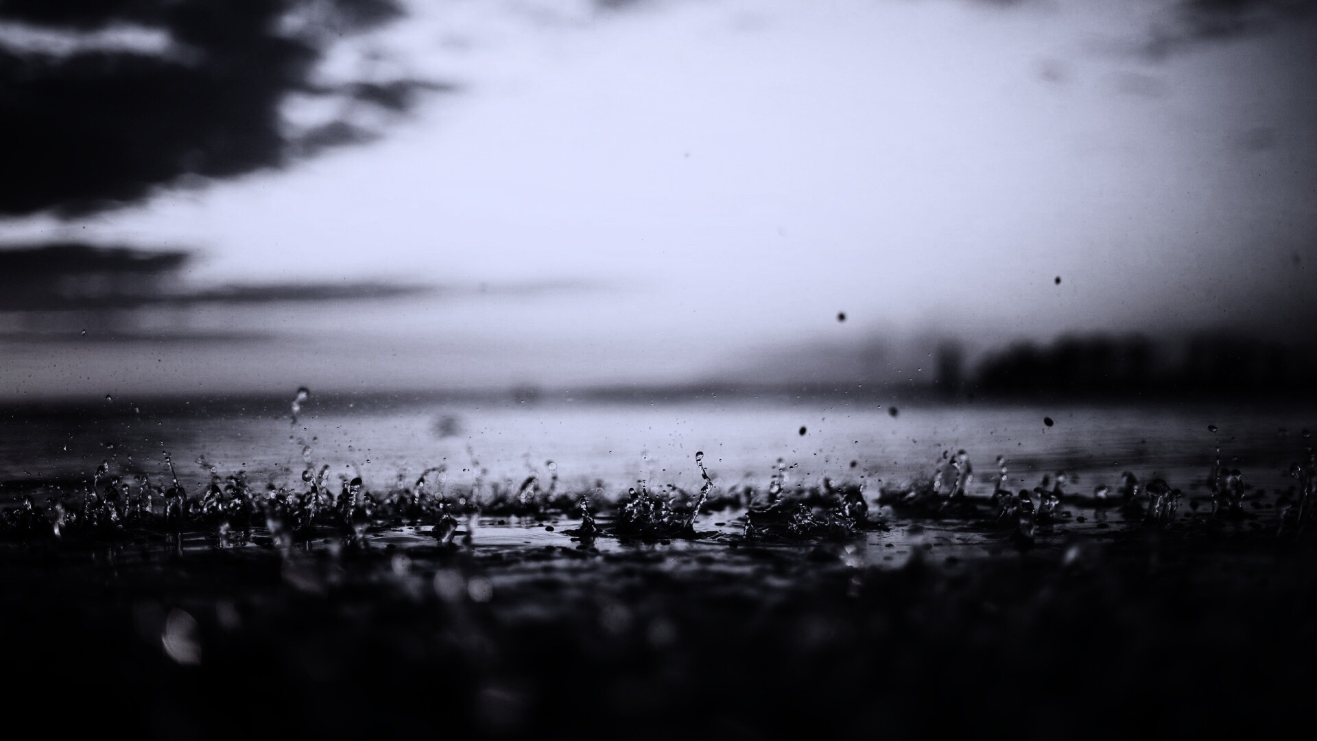 Дождь в макро обои