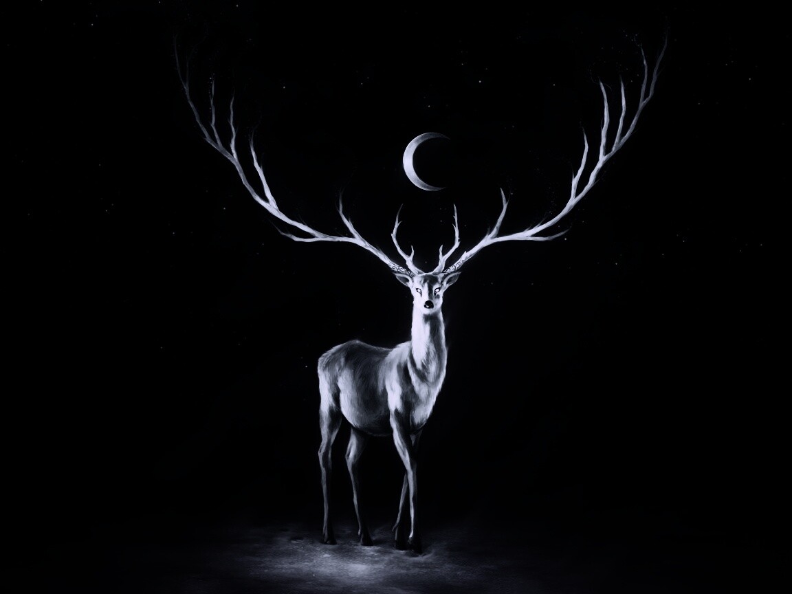 Олень в лунном свете обои