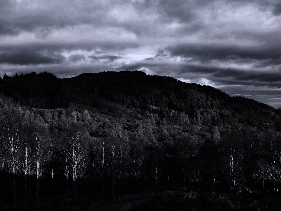 Золотая осень обои